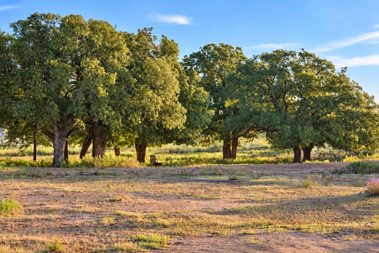 26 ac with Log Home in Jack County TX