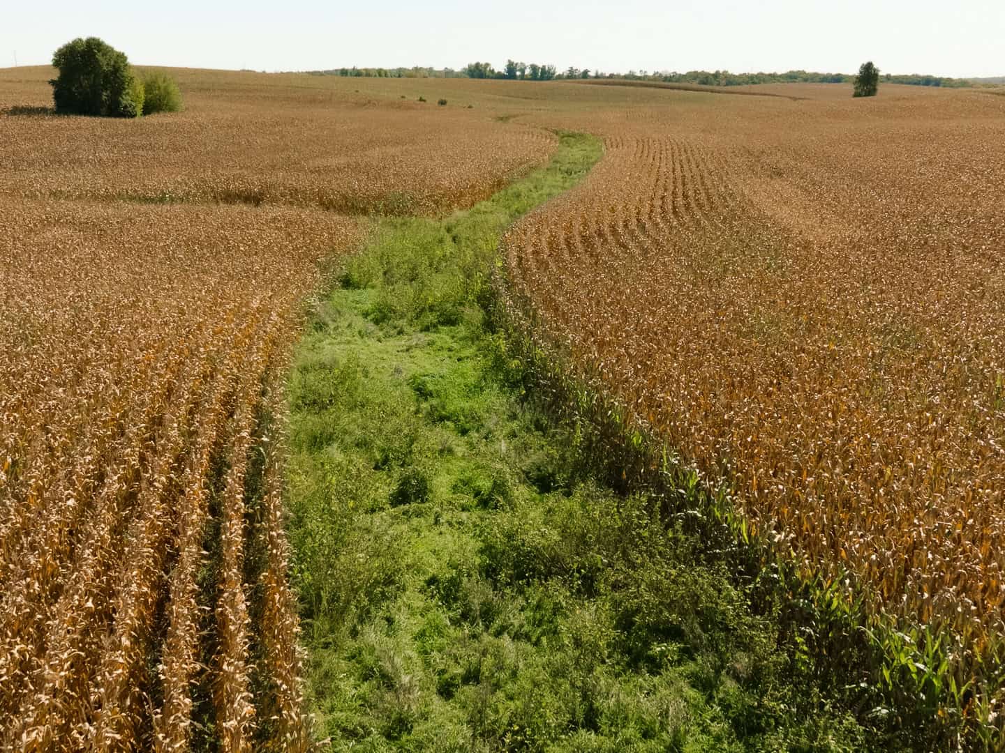 57 +/- Acres Winneshiek County IA