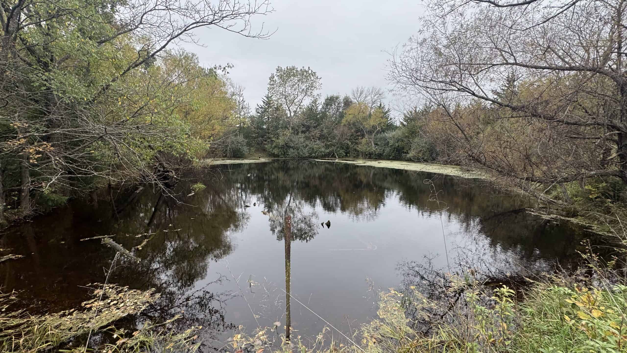 Hunting Property in Northwest Misssouri