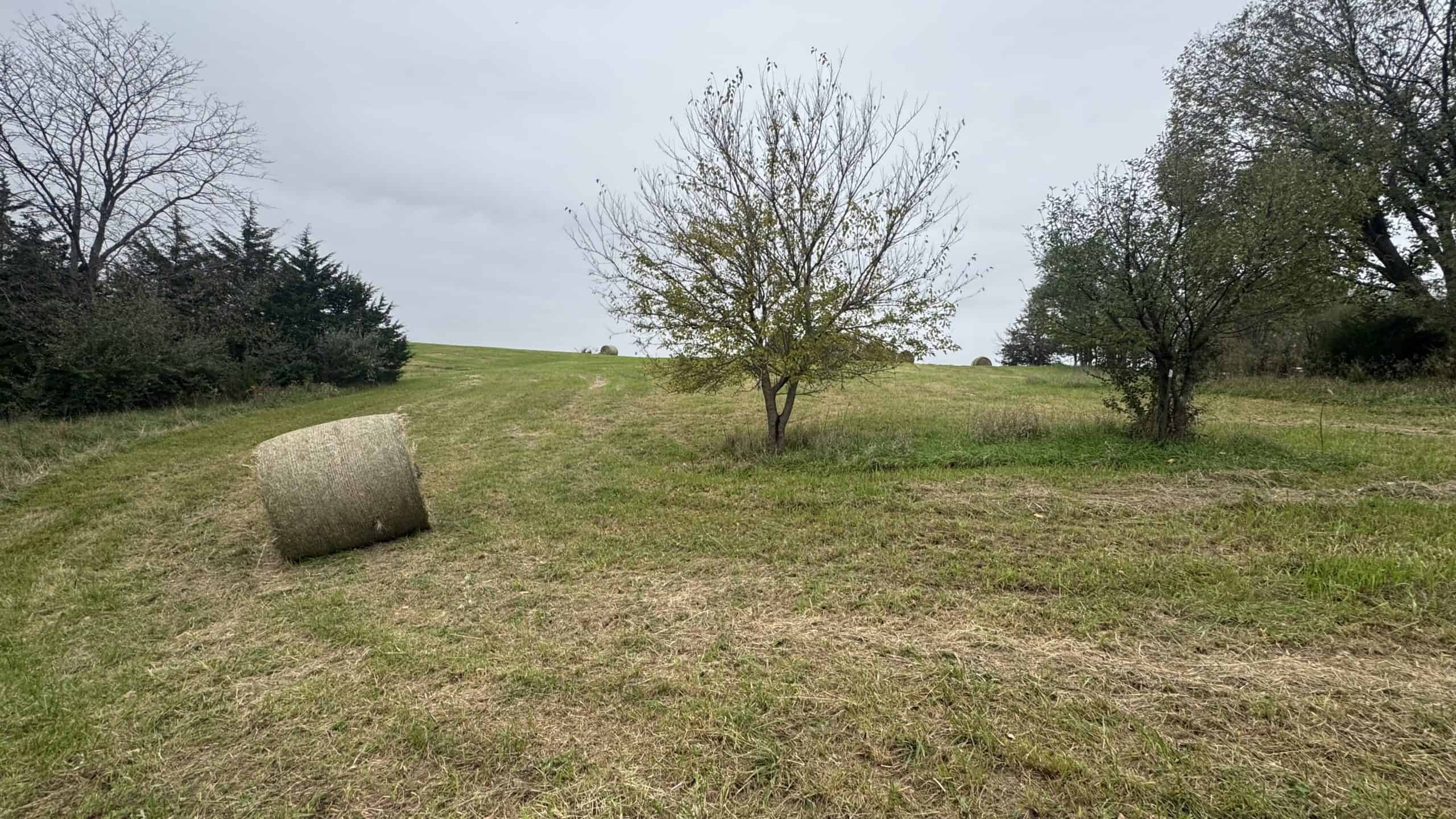 Hunting Property in Northwest Misssouri