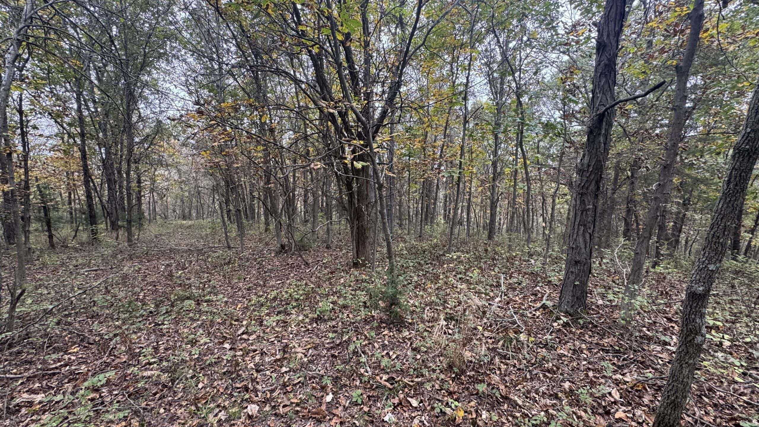Hunting Property in Northwest Misssouri