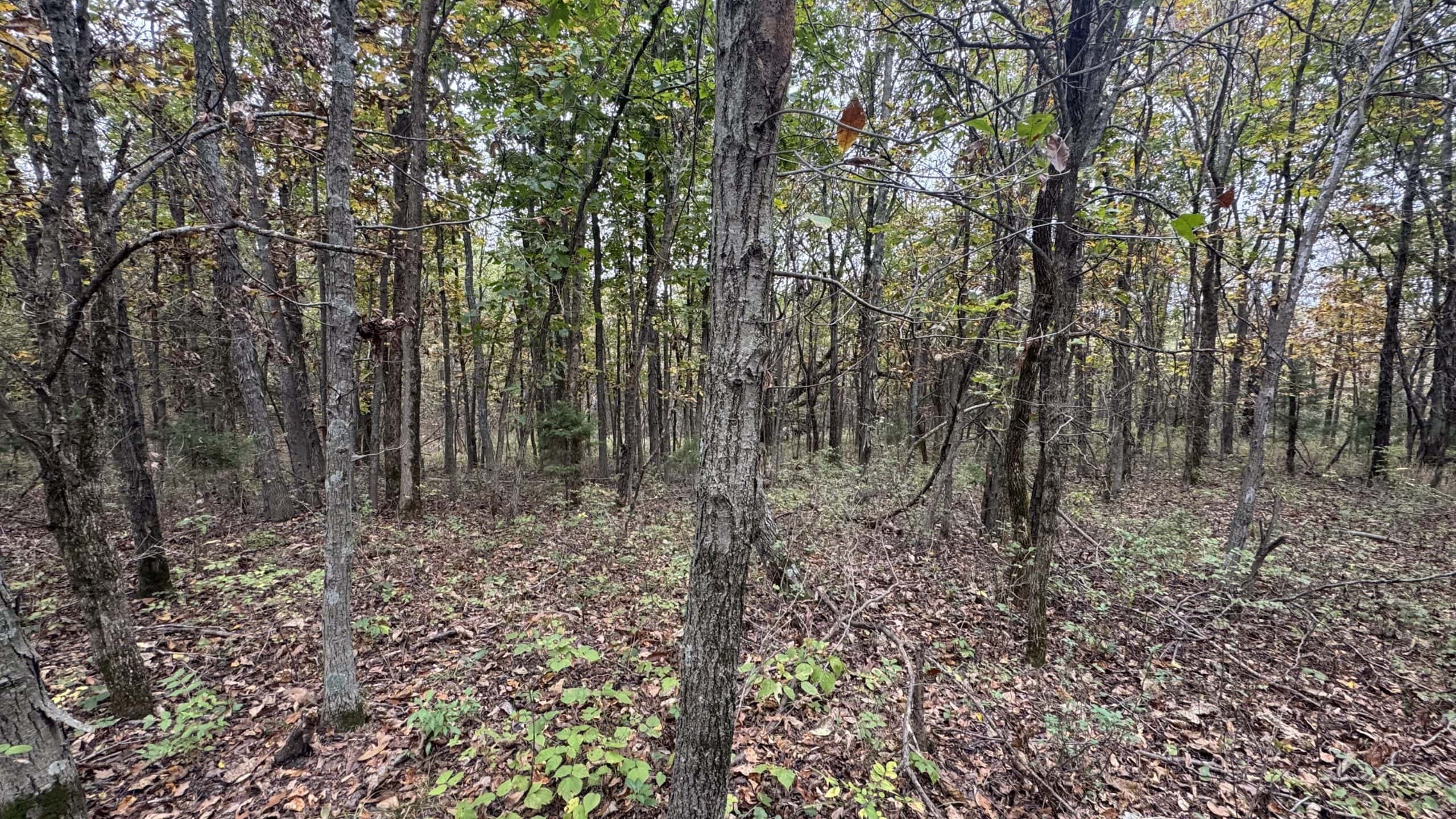 Hunting Property in Northwest Misssouri