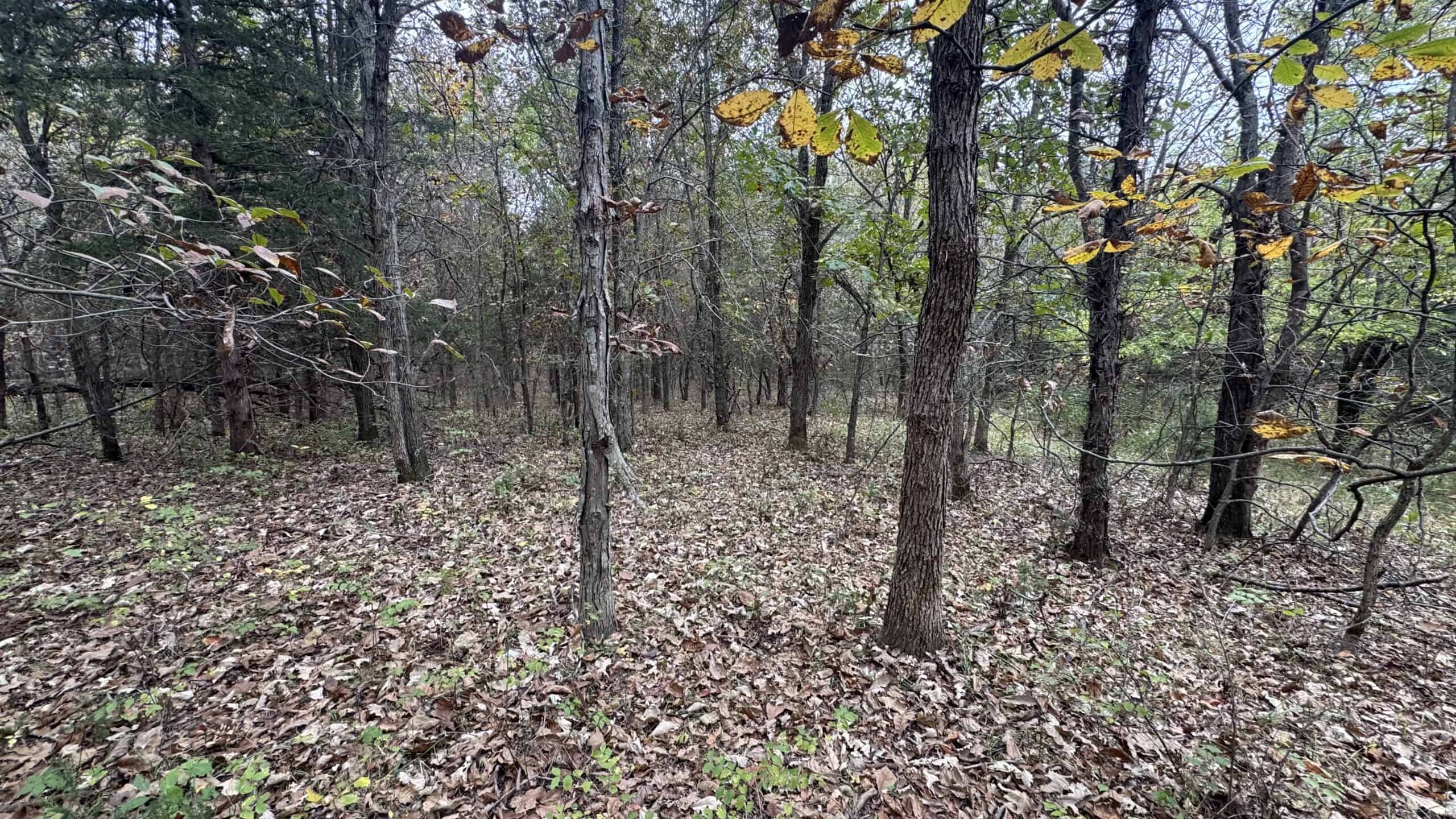 Hunting Property in Northwest Misssouri