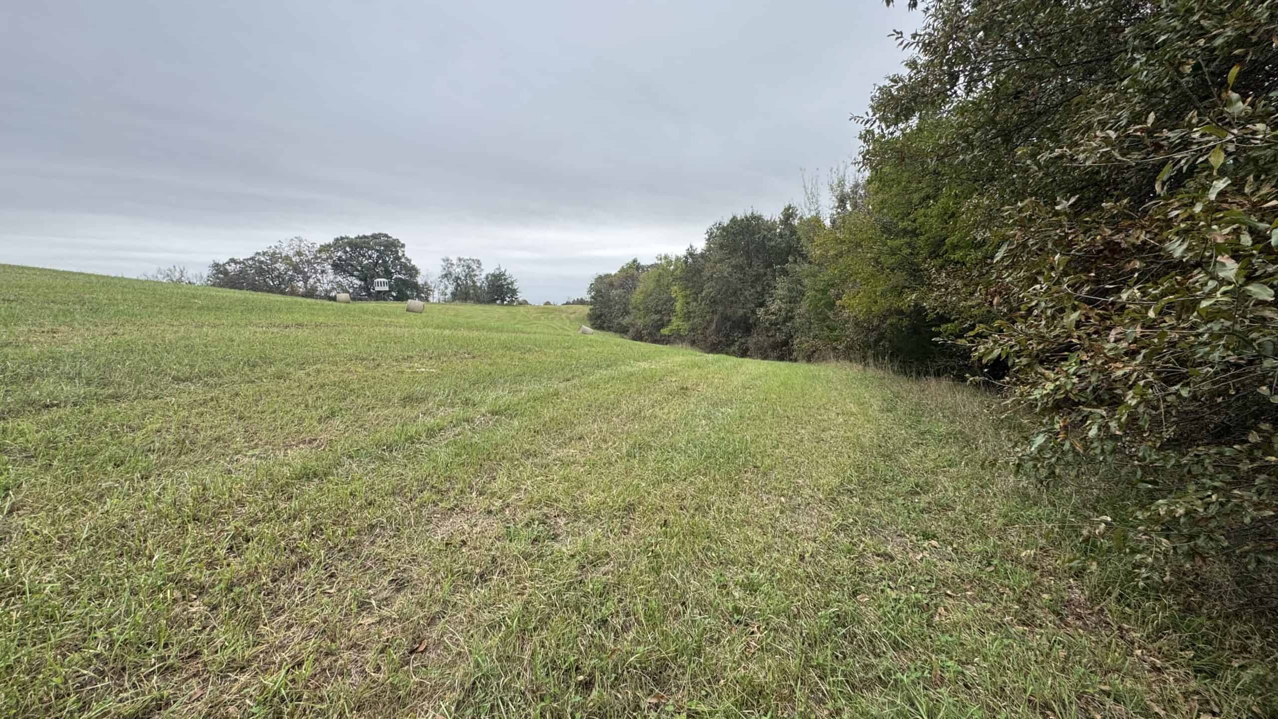 Hunting Property in Northwest Misssouri