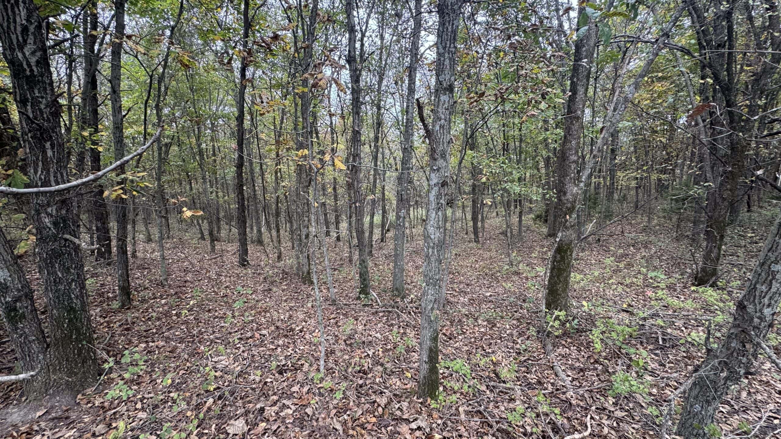 Hunting Property in Northwest Misssouri