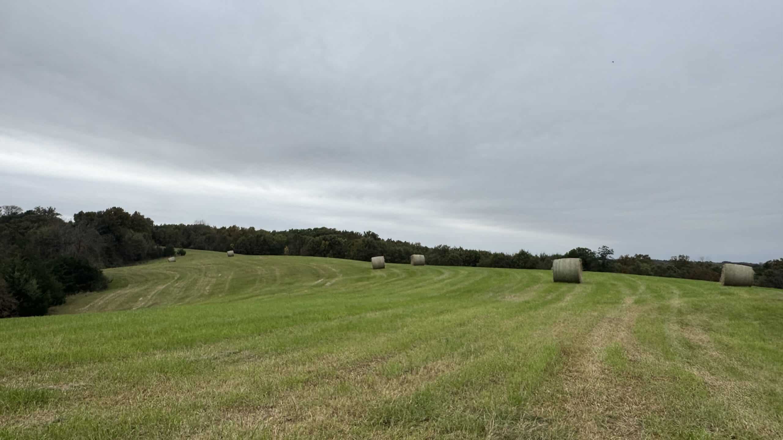 Hunting Property in Northwest Misssouri