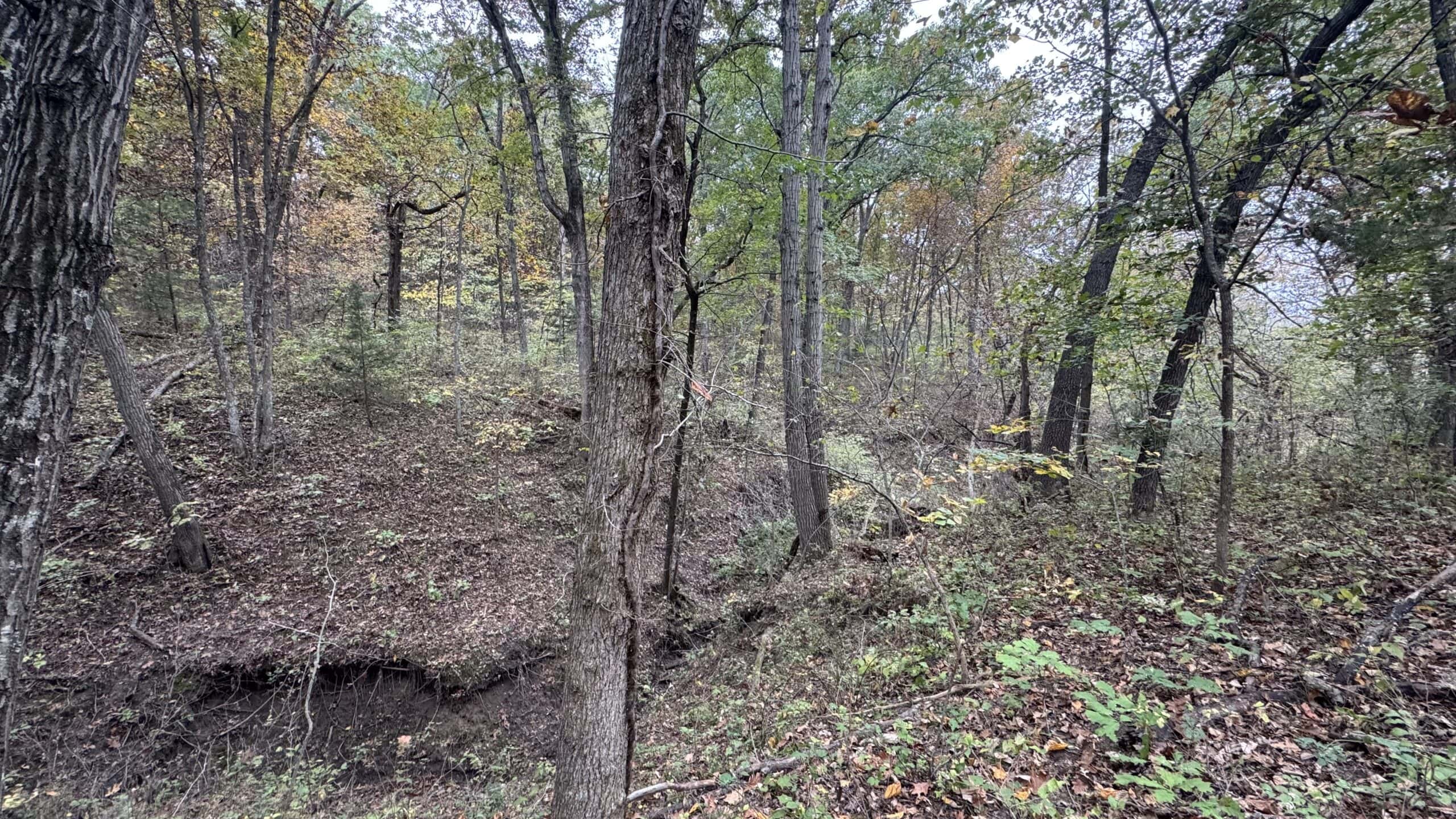 Hunting Property in Northwest Misssouri