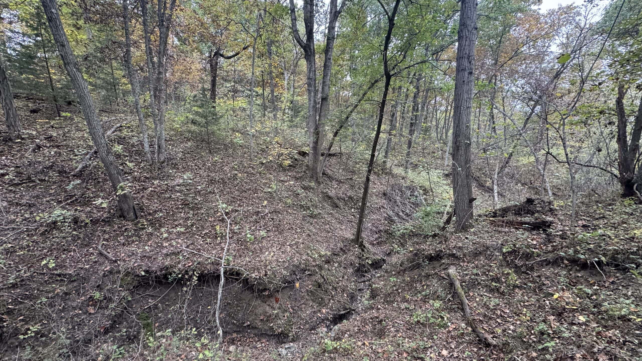 Hunting Property in Northwest Misssouri