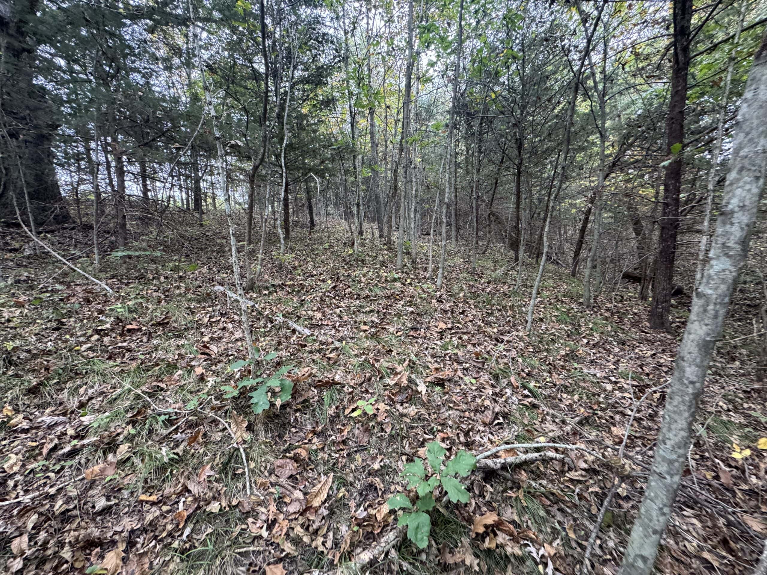 Hunting Property in Northwest Misssouri