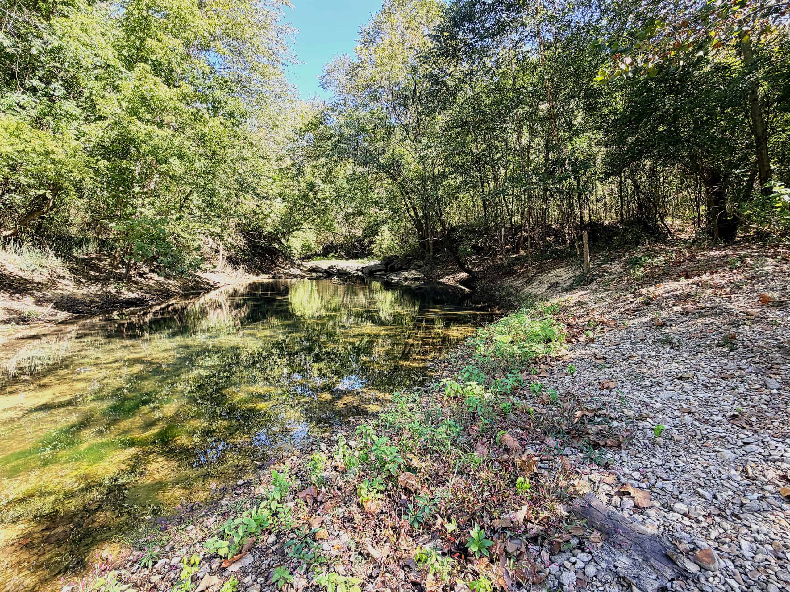 Acreage For Sale In Rural Arkansas