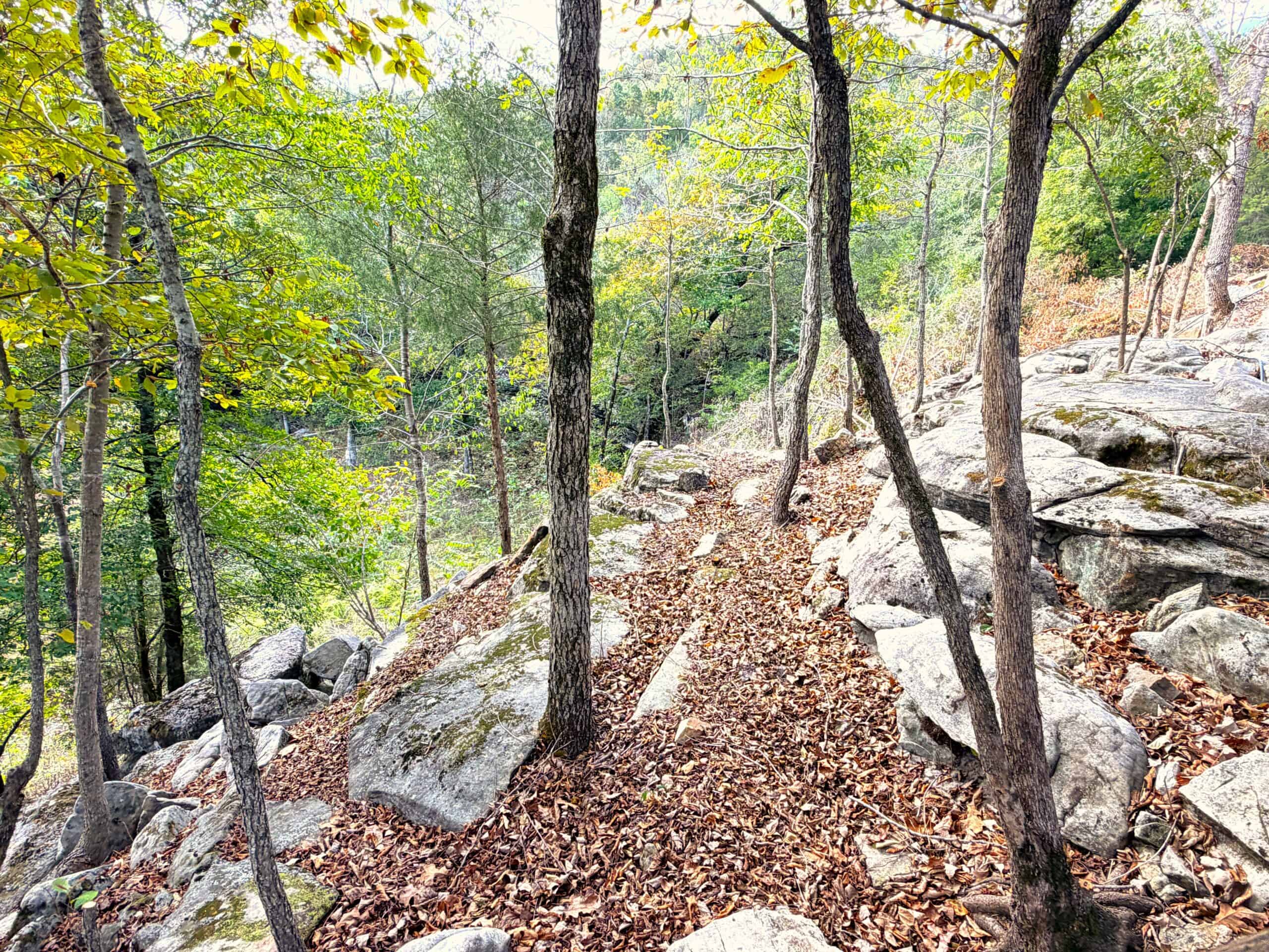 ARKANSAS HOME AND HUNTING LAND FOR SALE IN NORTH CENTRAL ARKANSAS