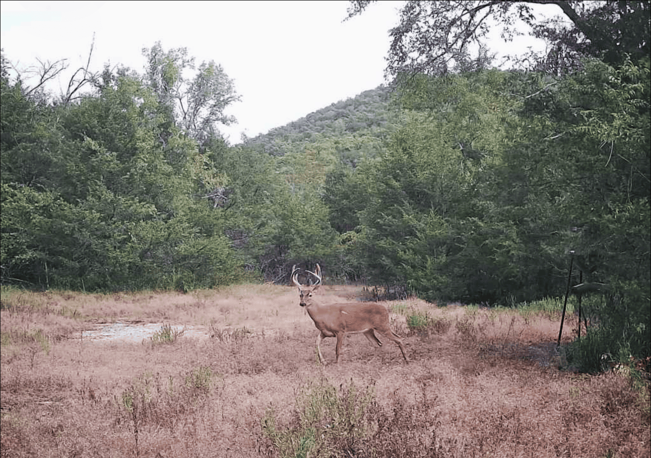 ARKANSAS HOME AND HUNTING LAND FOR SALE IN NORTH CENTRAL ARKANSAS