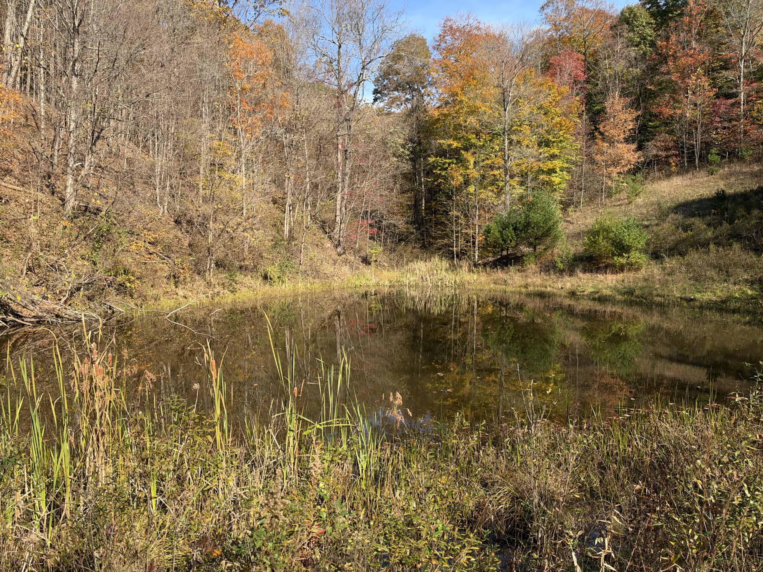64.88 +/- Acres of Monroe County Ohio Hunting Land