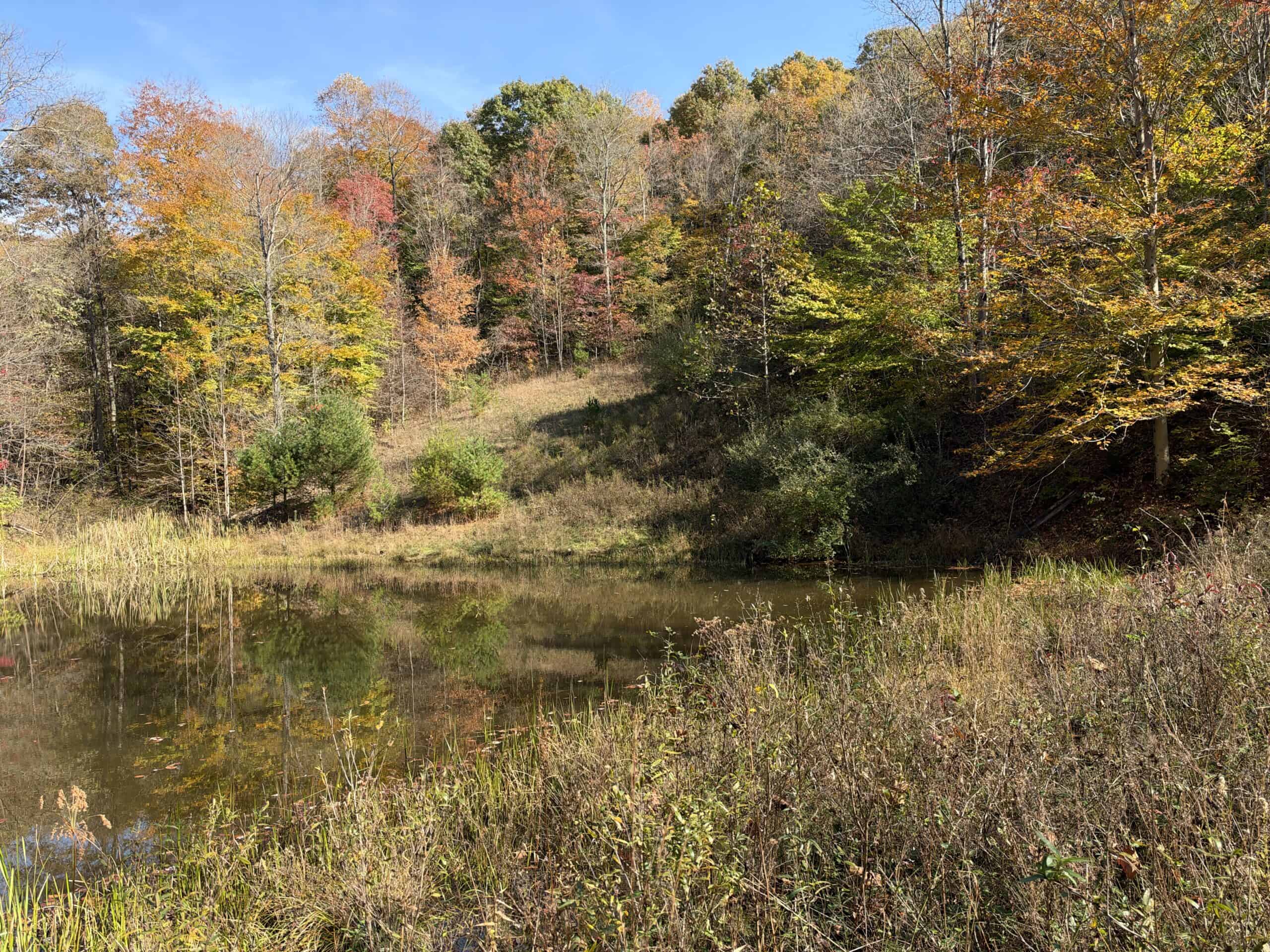 64.88 +/- Acres of Monroe County Ohio Hunting Land
