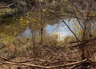64.88 +/- Acres of Monroe County Ohio Hunting Land