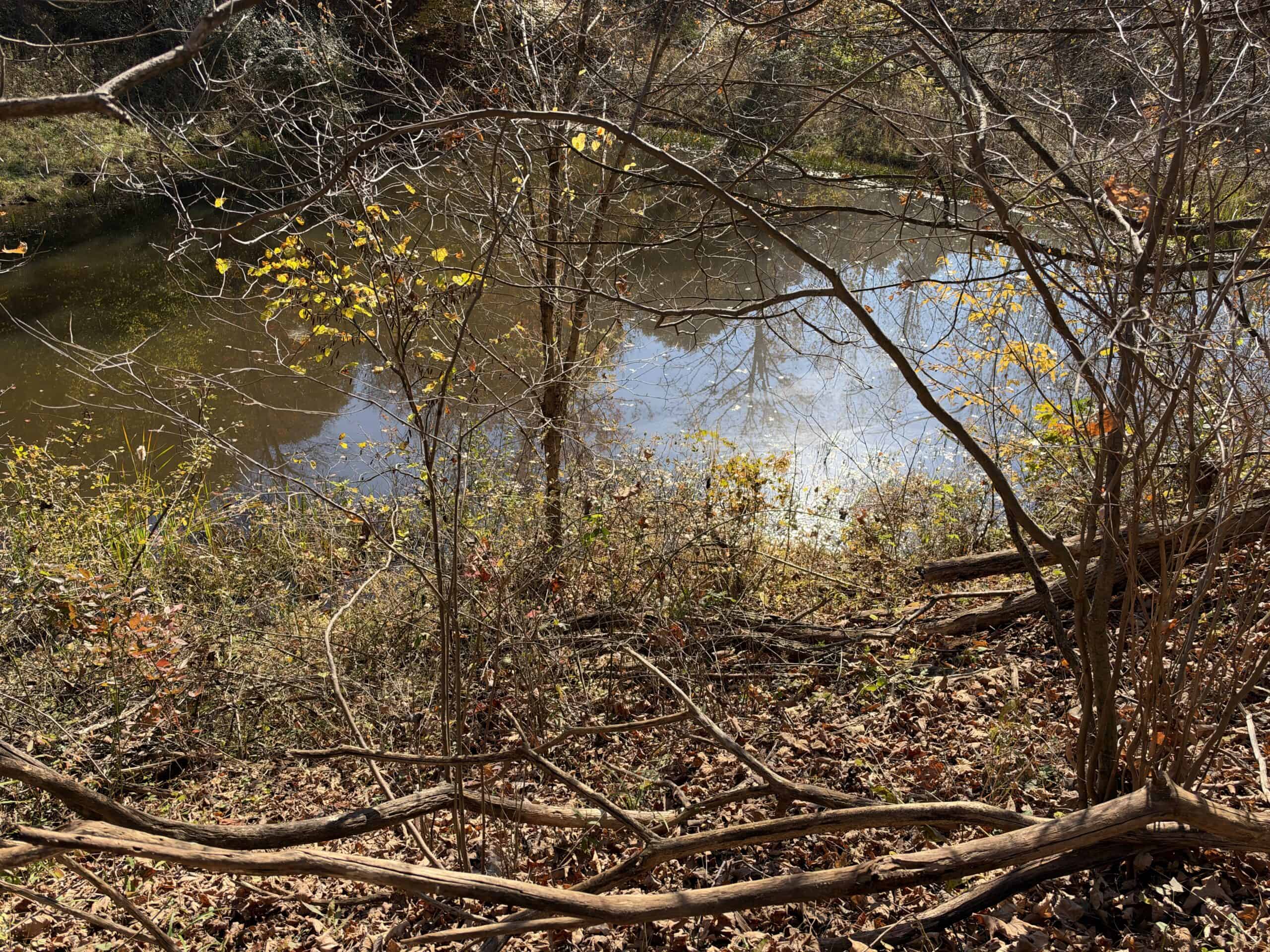 64.88 +/- Acres of Monroe County Ohio Hunting Land