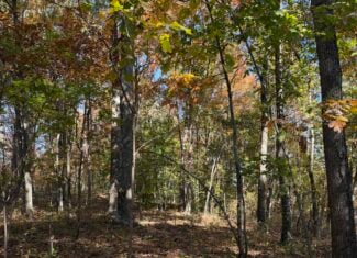 64.88 +/- Acres of Monroe County Ohio Hunting Land