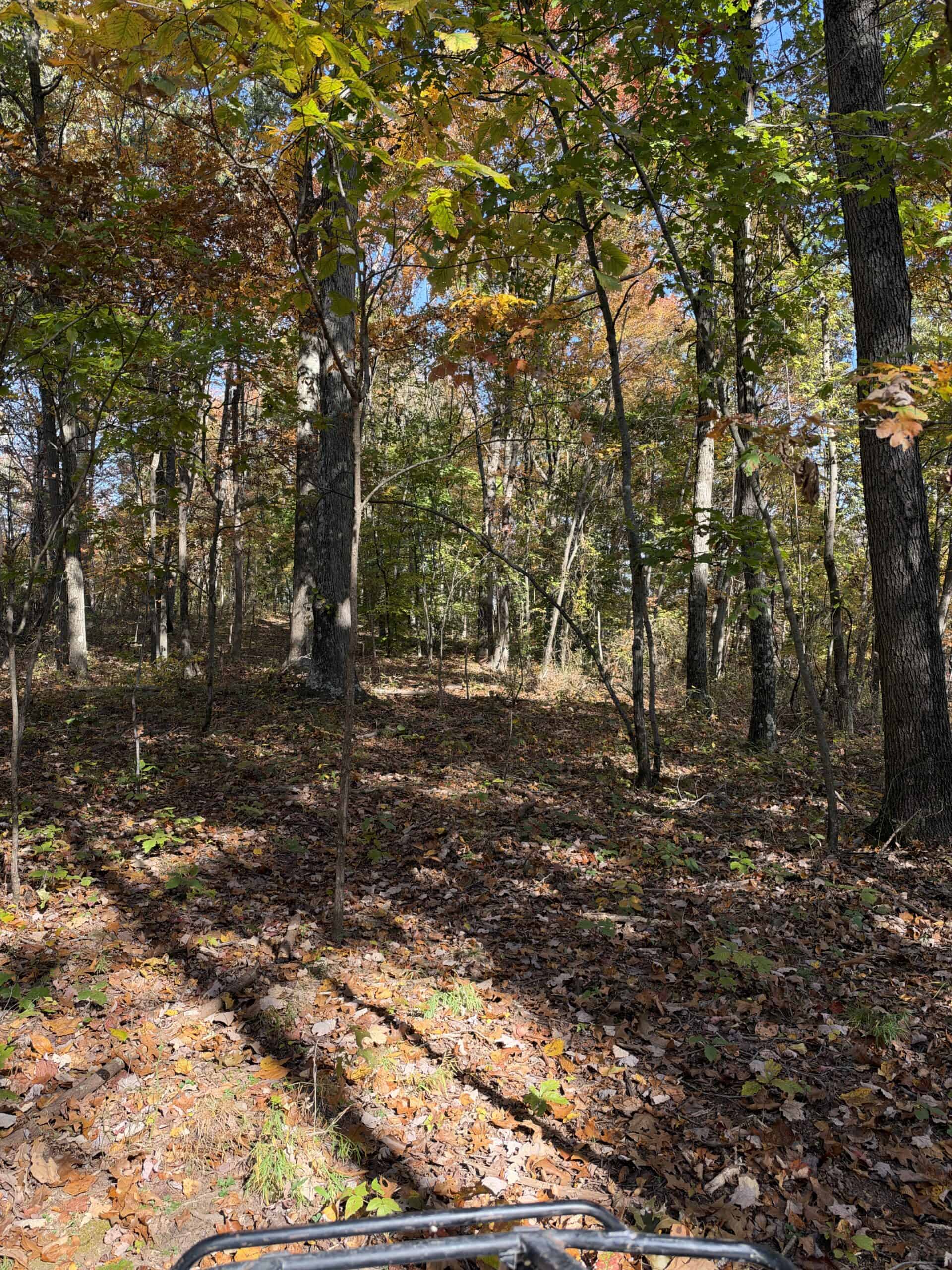64.88 +/- Acres of Monroe County Ohio Hunting Land