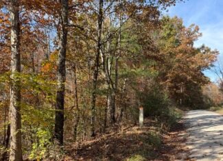 64.88 +/- Acres of Monroe County Ohio Hunting Land