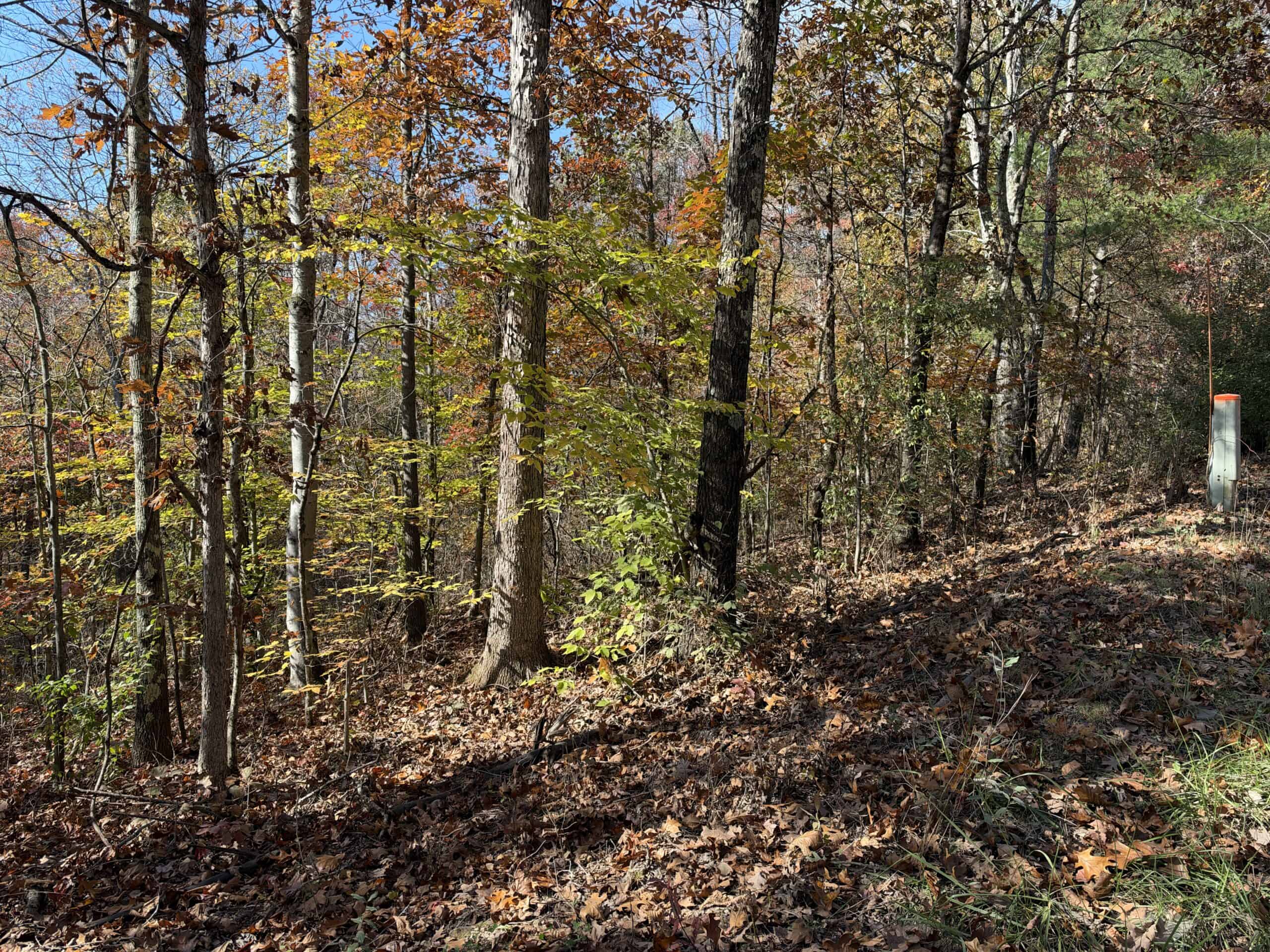 64.88 +/- Acres of Monroe County Ohio Hunting Land
