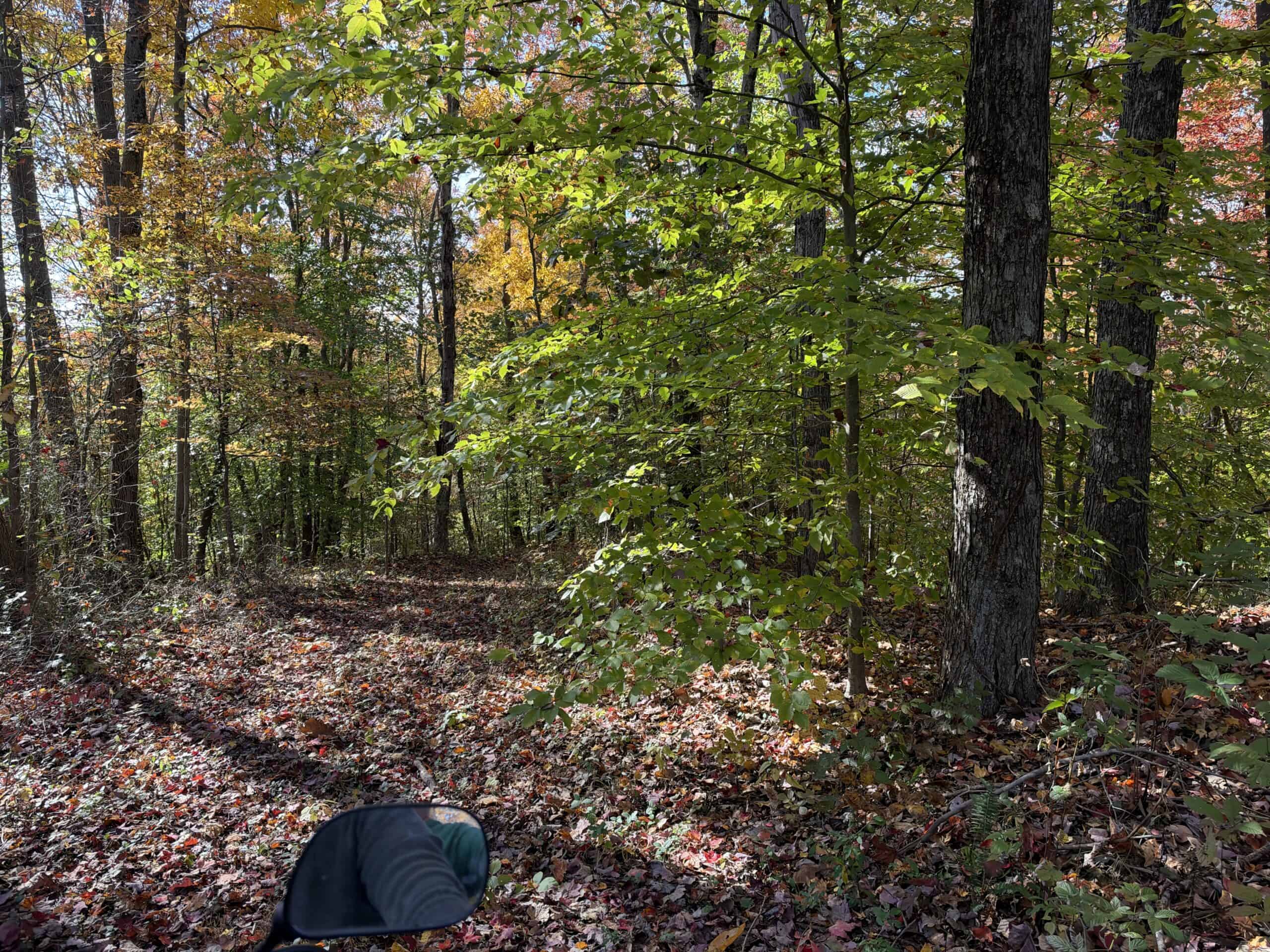64.88 +/- Acres of Monroe County Ohio Hunting Land