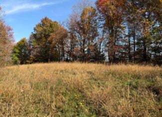 64.88 +/- Acres of Monroe County Ohio Hunting Land
