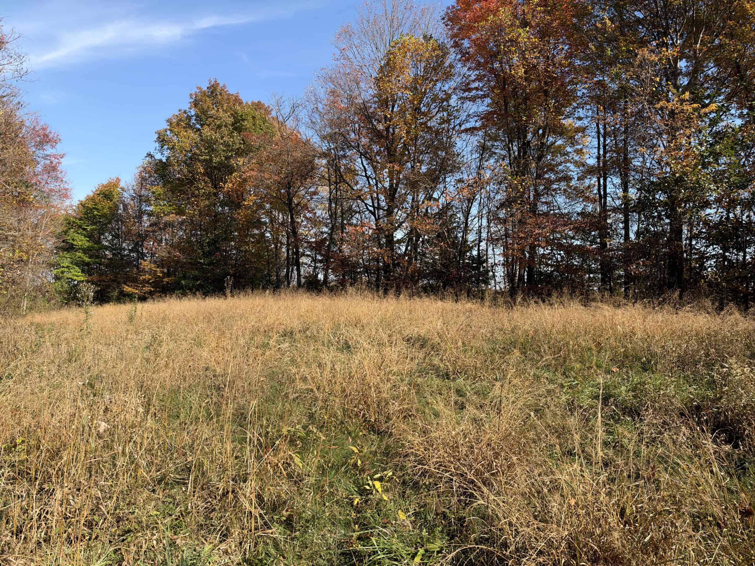 64.88 +/- Acres of Monroe County Ohio Hunting Land