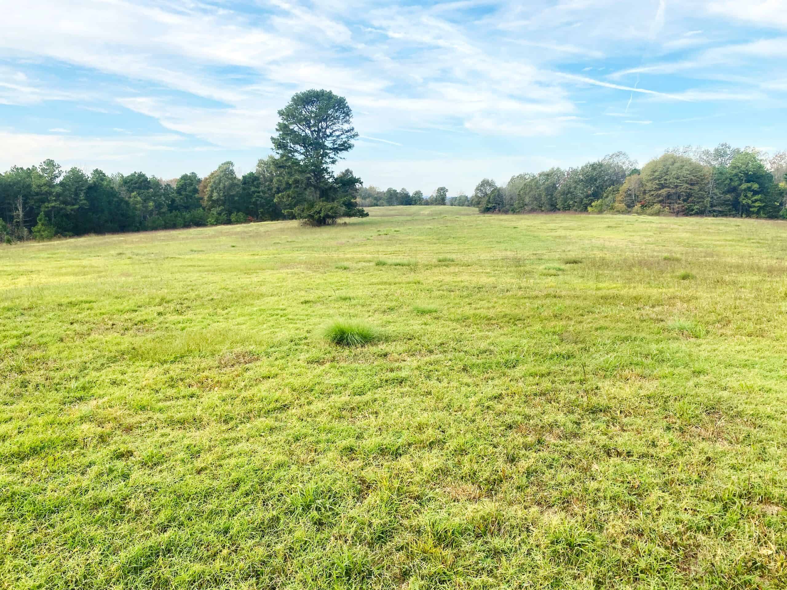 HUNTING LAND FOR SALE IN NORTH CENTRAL ARKANSAS OZARKS