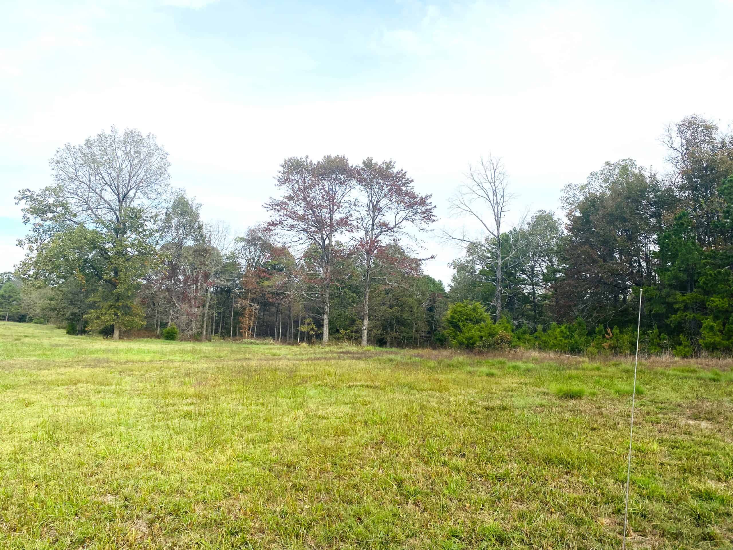 HUNTING LAND FOR SALE IN NORTH CENTRAL ARKANSAS OZARKS
