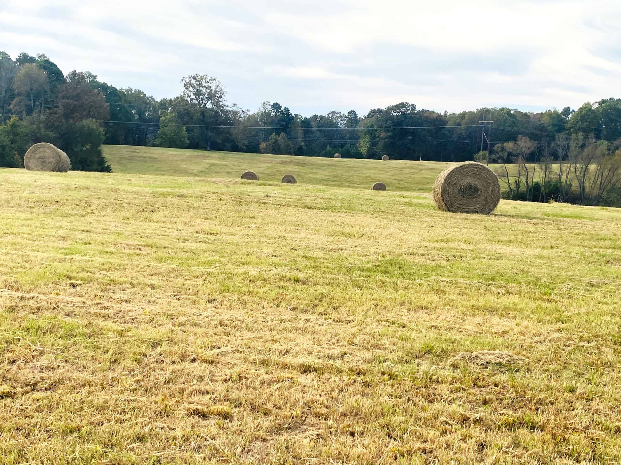 HUNTING LAND FOR SALE IN NORTH CENTRAL ARKANSAS OZARKS