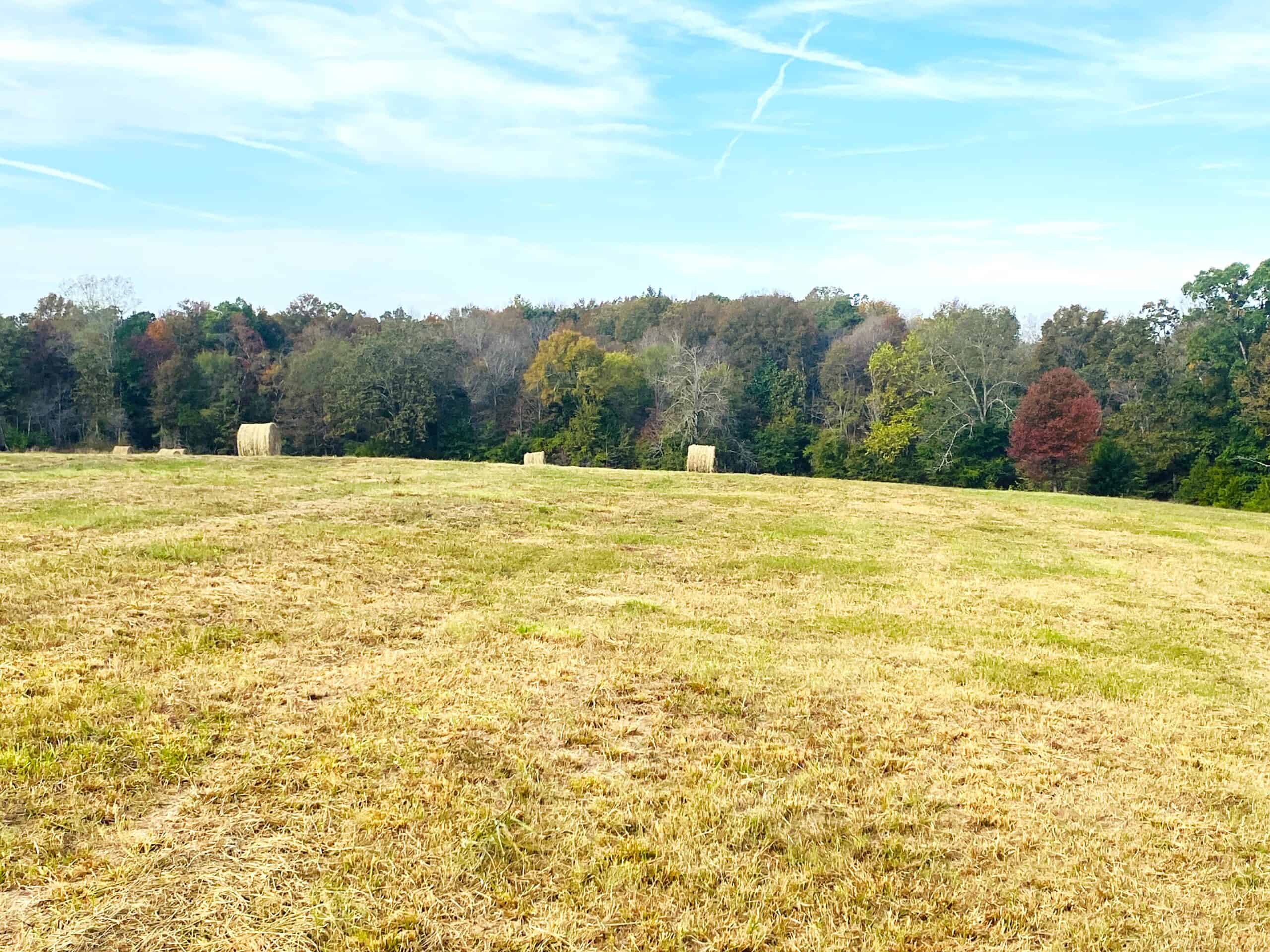 HUNTING LAND FOR SALE IN NORTH CENTRAL ARKANSAS OZARKS