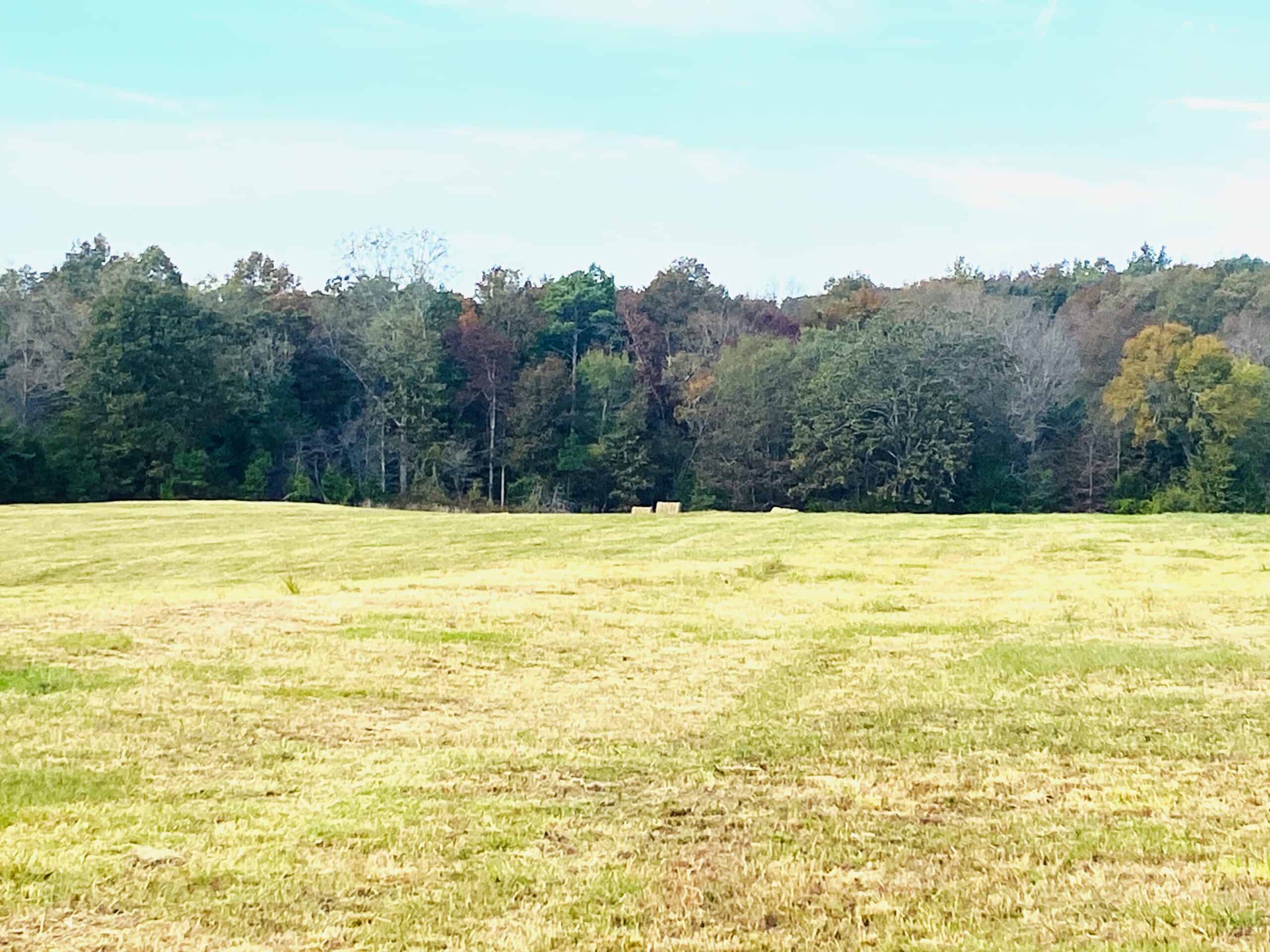 HUNTING LAND FOR SALE IN NORTH CENTRAL ARKANSAS OZARKS