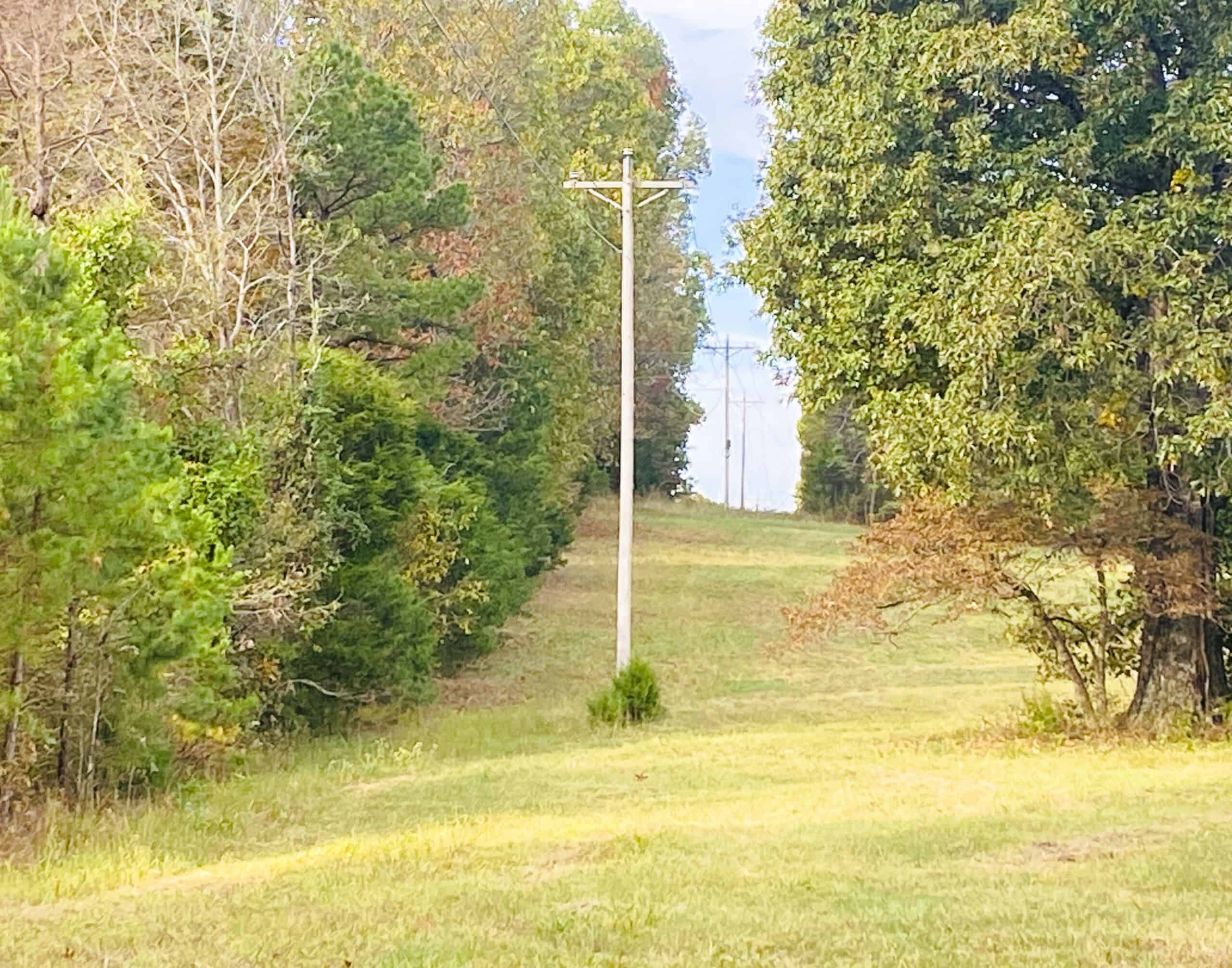 HUNTING LAND FOR SALE IN NORTH CENTRAL ARKANSAS OZARKS