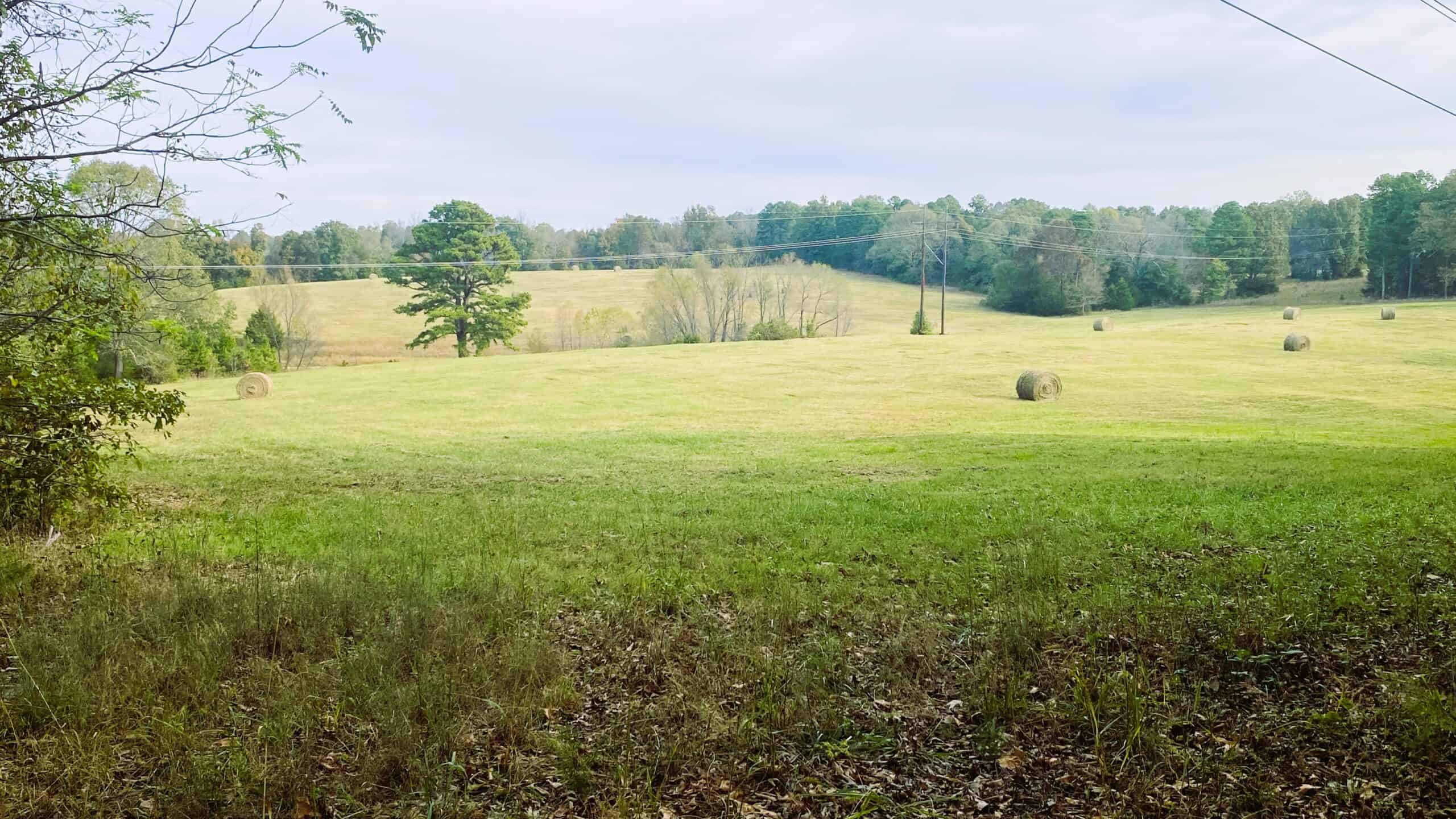 HUNTING LAND FOR SALE IN NORTH CENTRAL ARKANSAS OZARKS