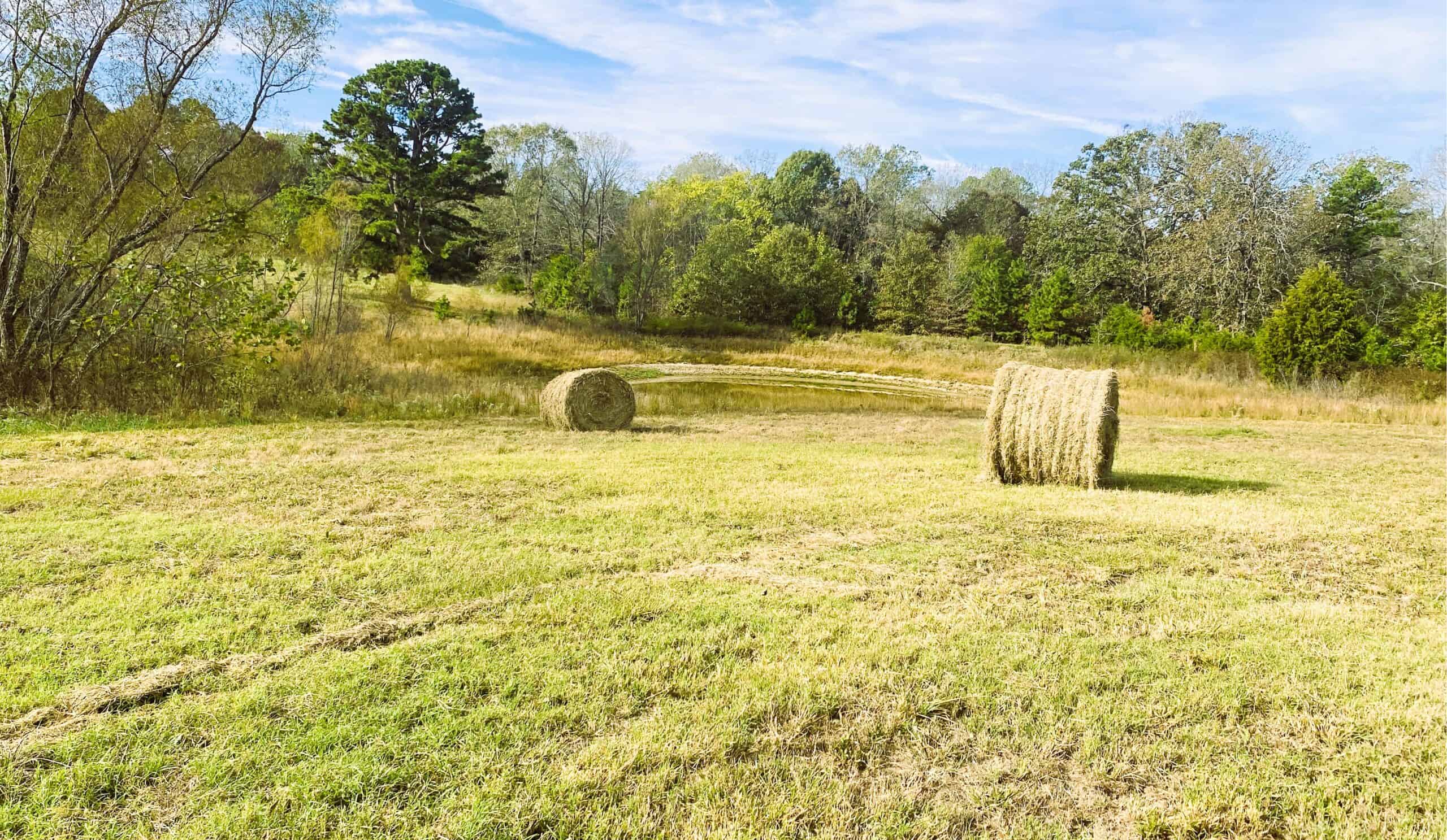 HUNTING LAND FOR SALE IN NORTH CENTRAL ARKANSAS OZARKS