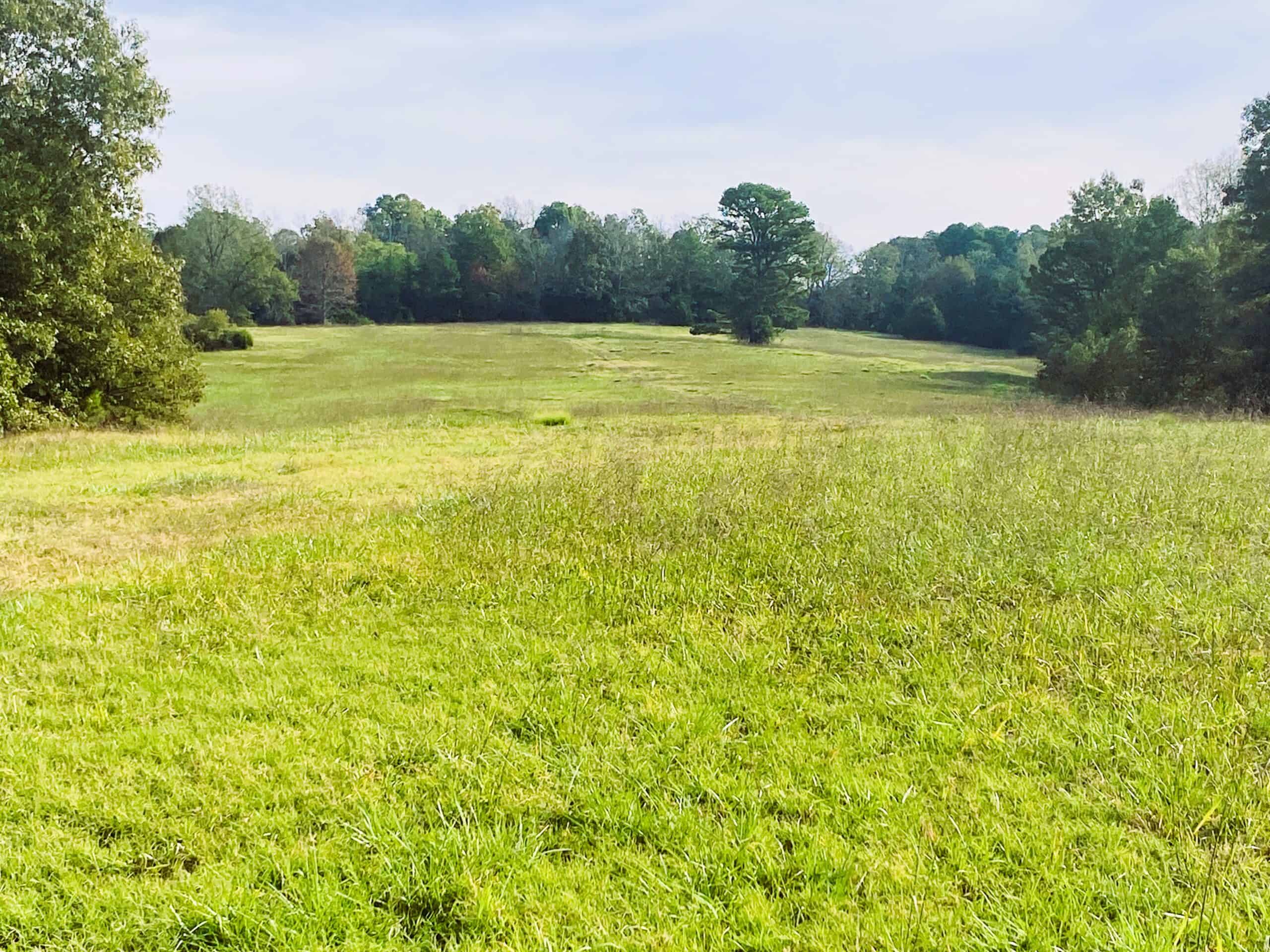 HUNTING LAND FOR SALE IN NORTH CENTRAL ARKANSAS OZARKS