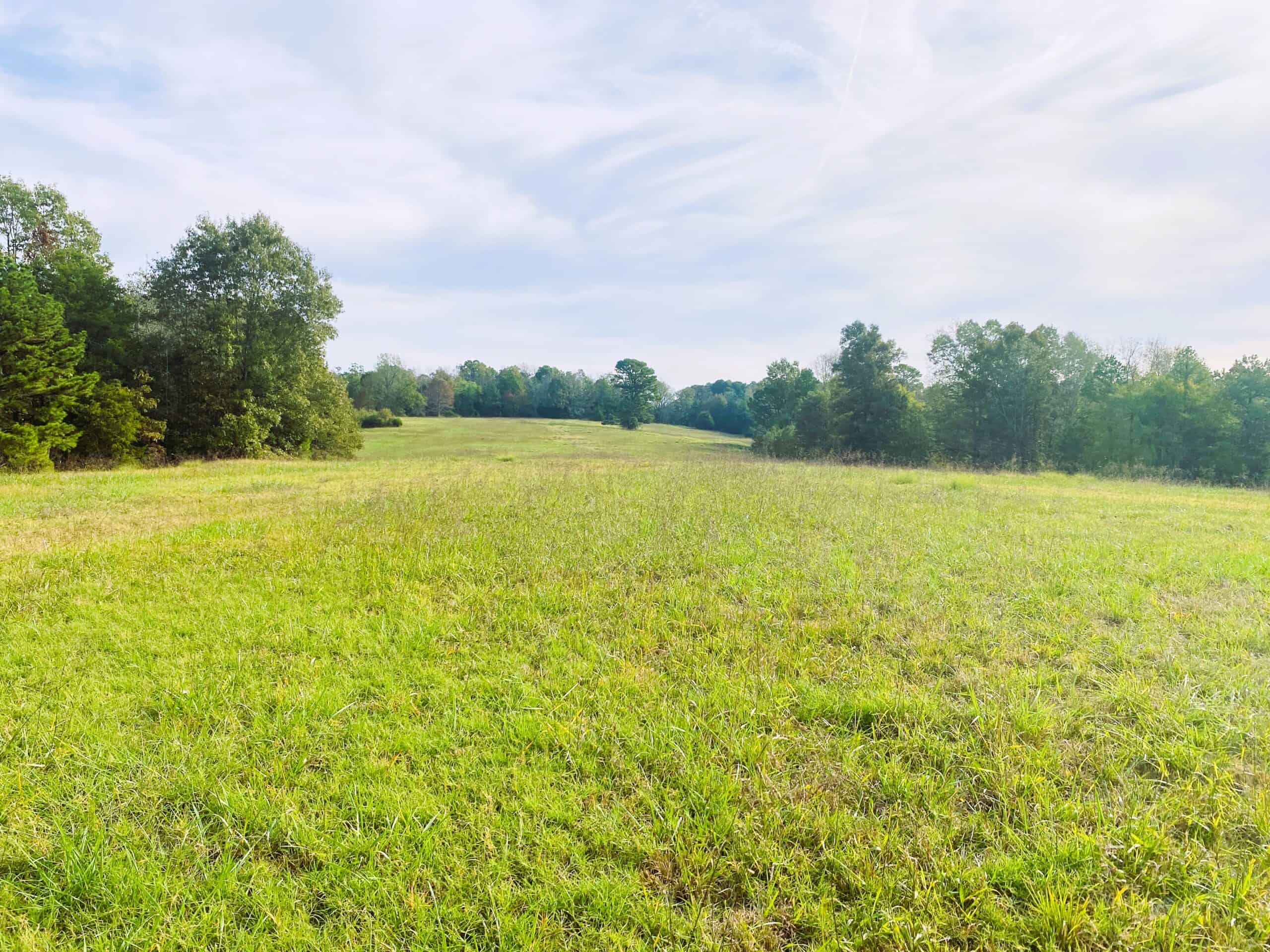 HUNTING LAND FOR SALE IN NORTH CENTRAL ARKANSAS OZARKS