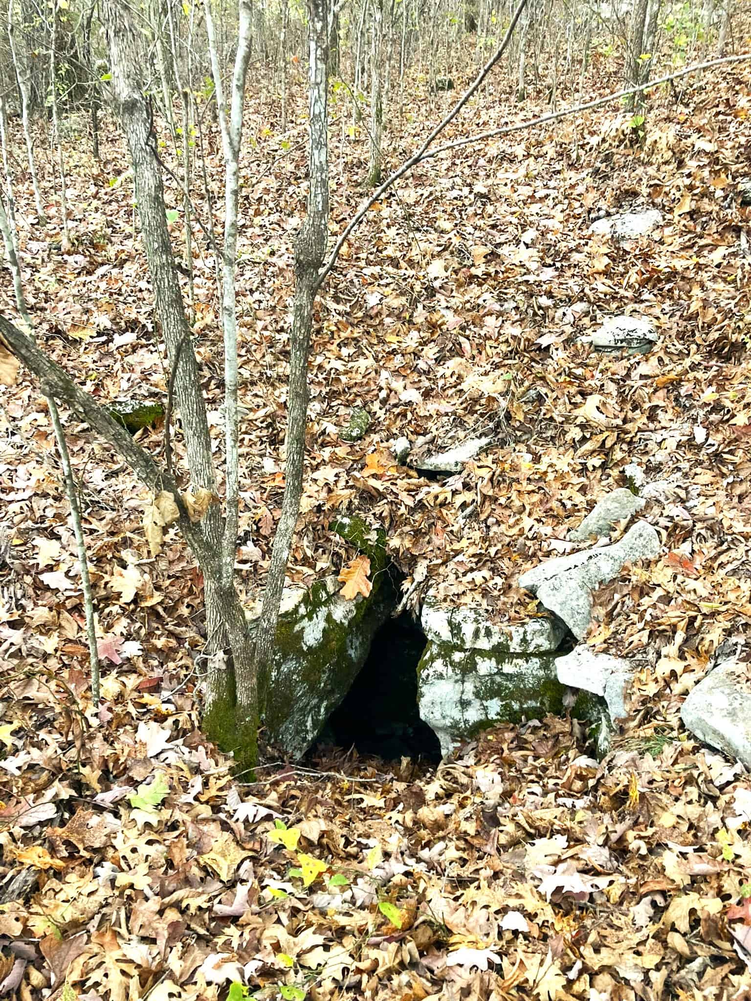 ARKANSAS HOME AND HUNTING LAND FOR SALE IN NORTH CENTRAL ARKANSAS