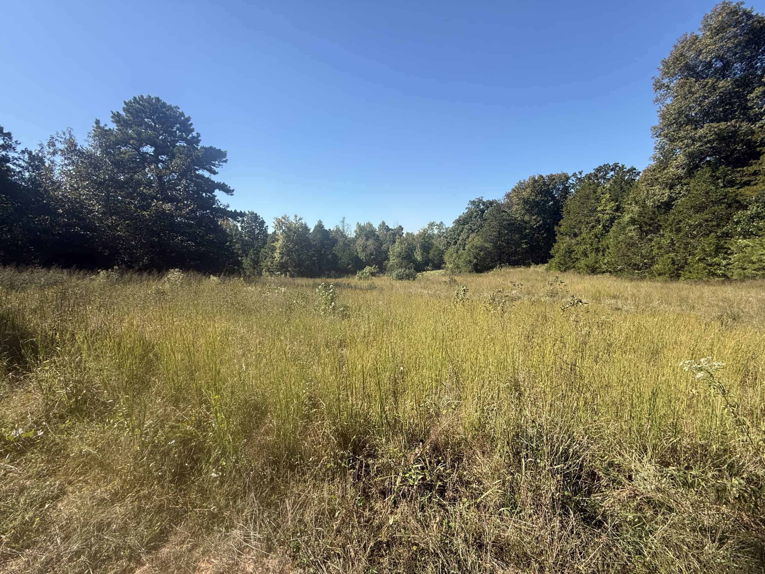 ACREAGE FOR SALE IN NORTH CENTRAL ARKANSAS