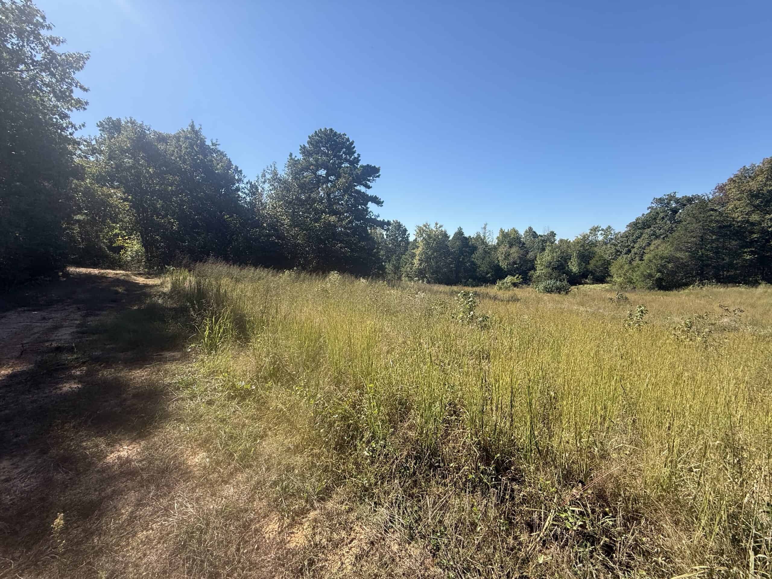 ACREAGE FOR SALE IN NORTH CENTRAL ARKANSAS