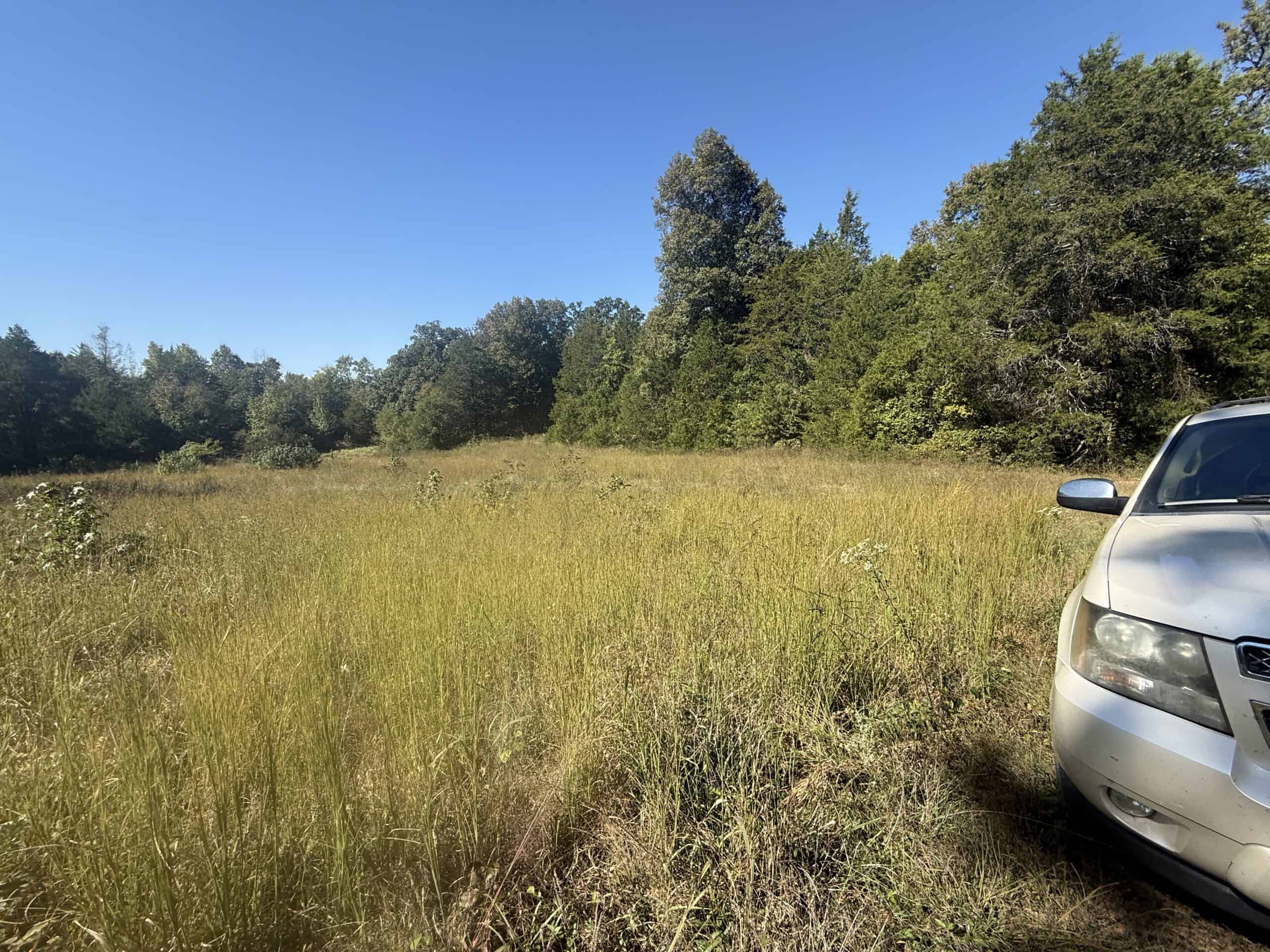 ACREAGE FOR SALE IN NORTH CENTRAL ARKANSAS