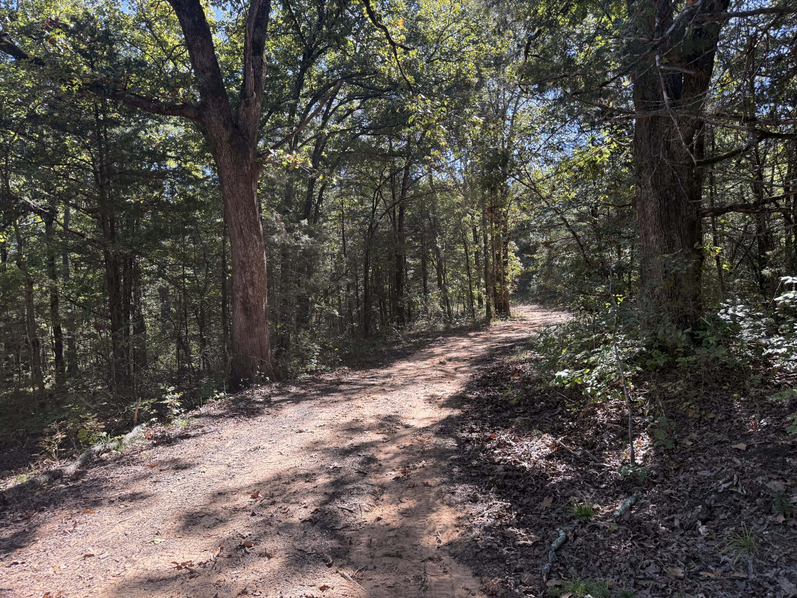 ACREAGE FOR SALE IN NORTH CENTRAL ARKANSAS