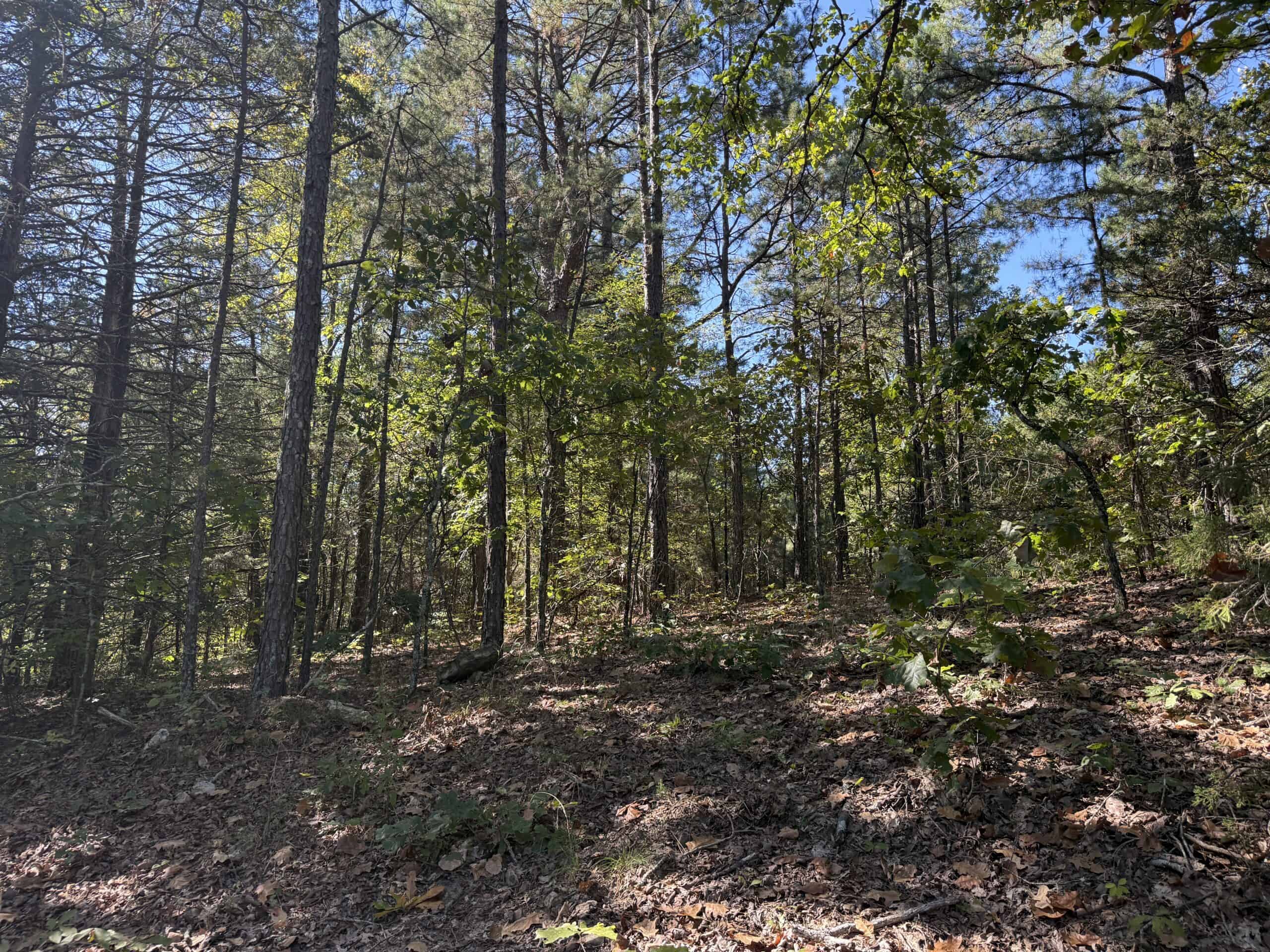 ACREAGE FOR SALE IN NORTH CENTRAL ARKANSAS