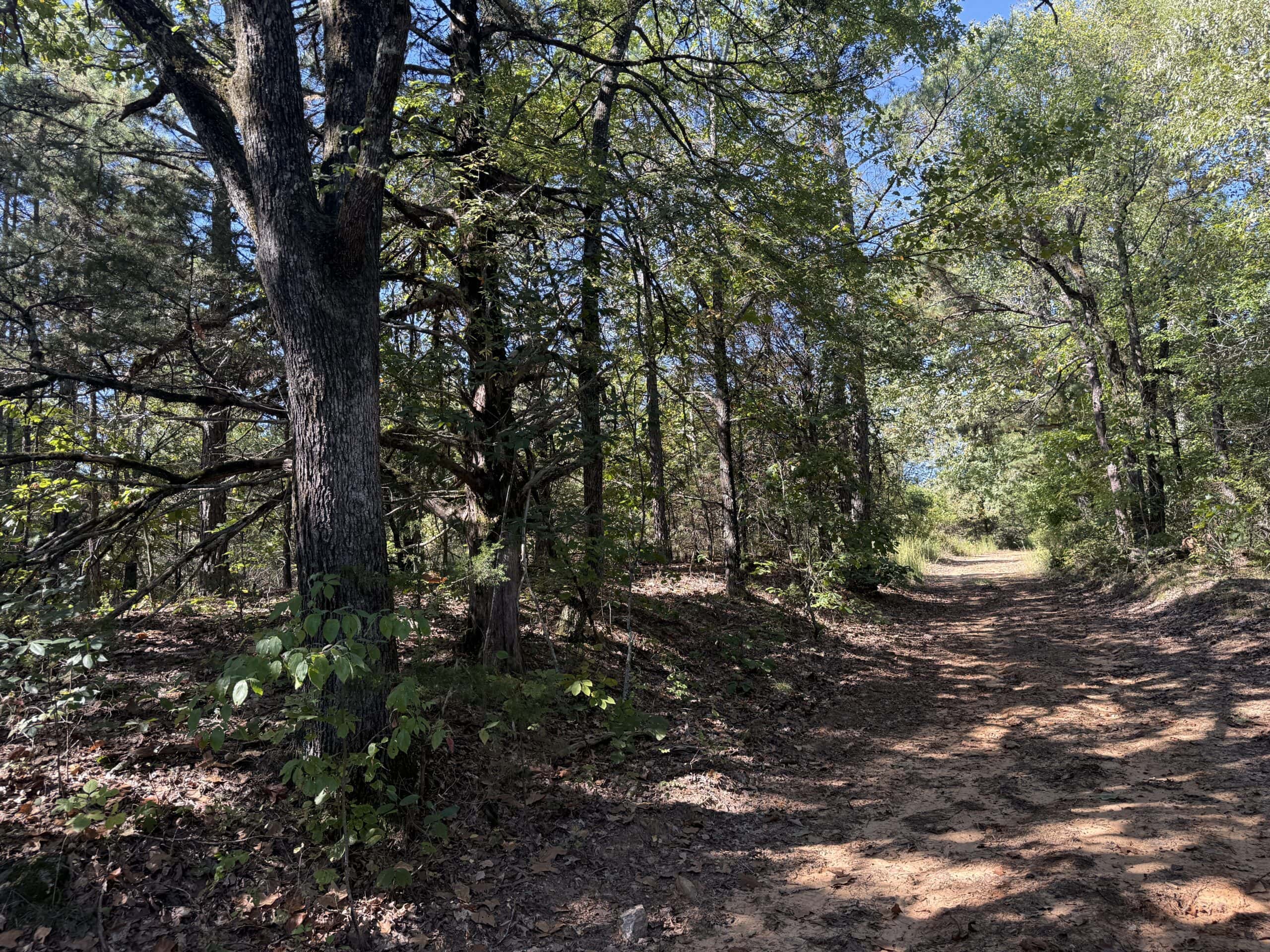 ACREAGE FOR SALE IN NORTH CENTRAL ARKANSAS