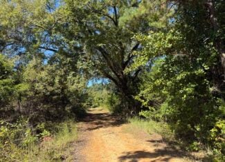 ACREAGE FOR SALE IN NORTH CENTRAL ARKANSAS