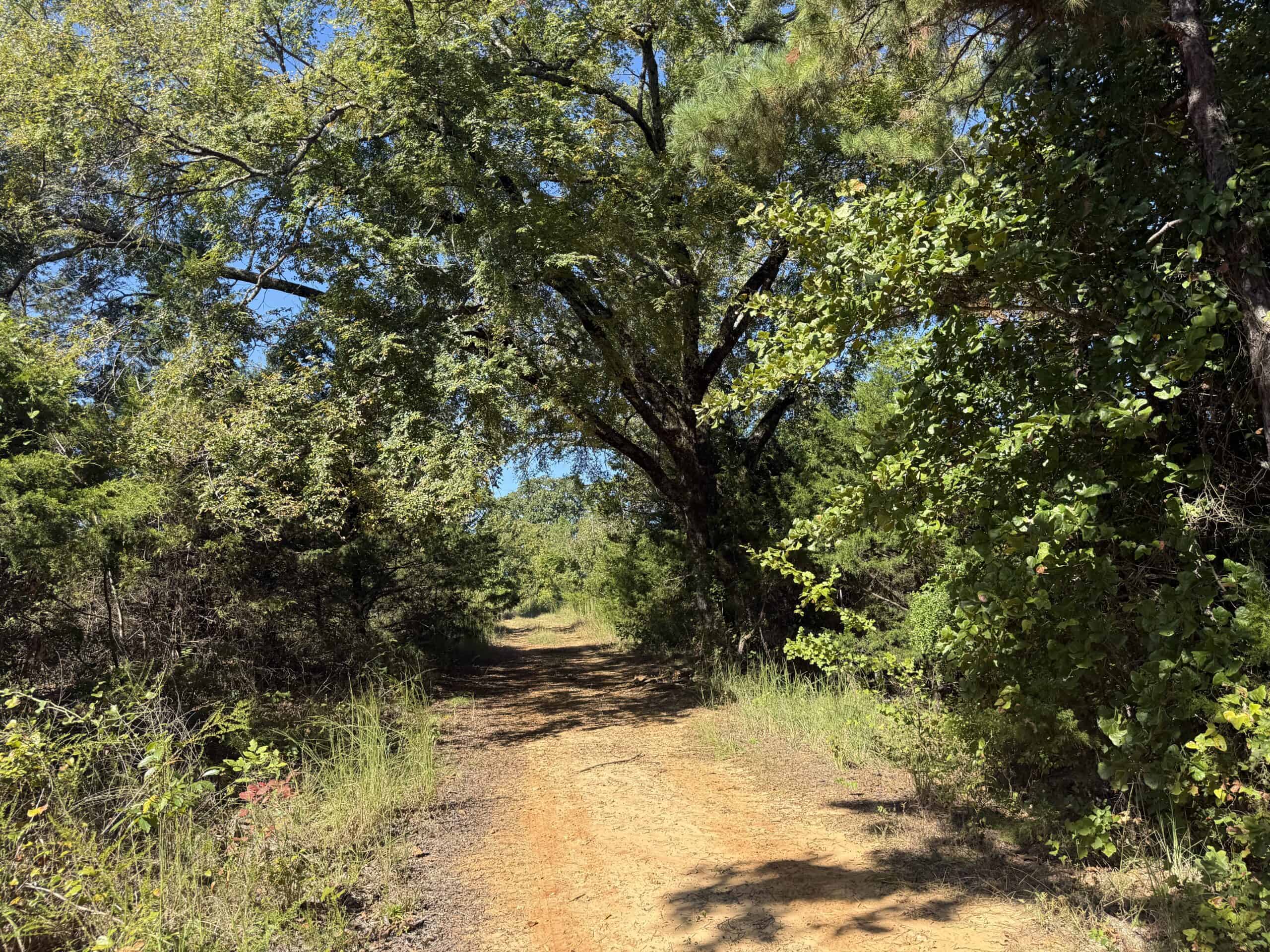 ACREAGE FOR SALE IN NORTH CENTRAL ARKANSAS