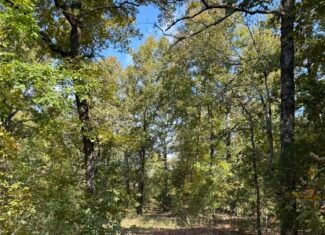 ACREAGE FOR SALE IN NORTH CENTRAL ARKANSAS