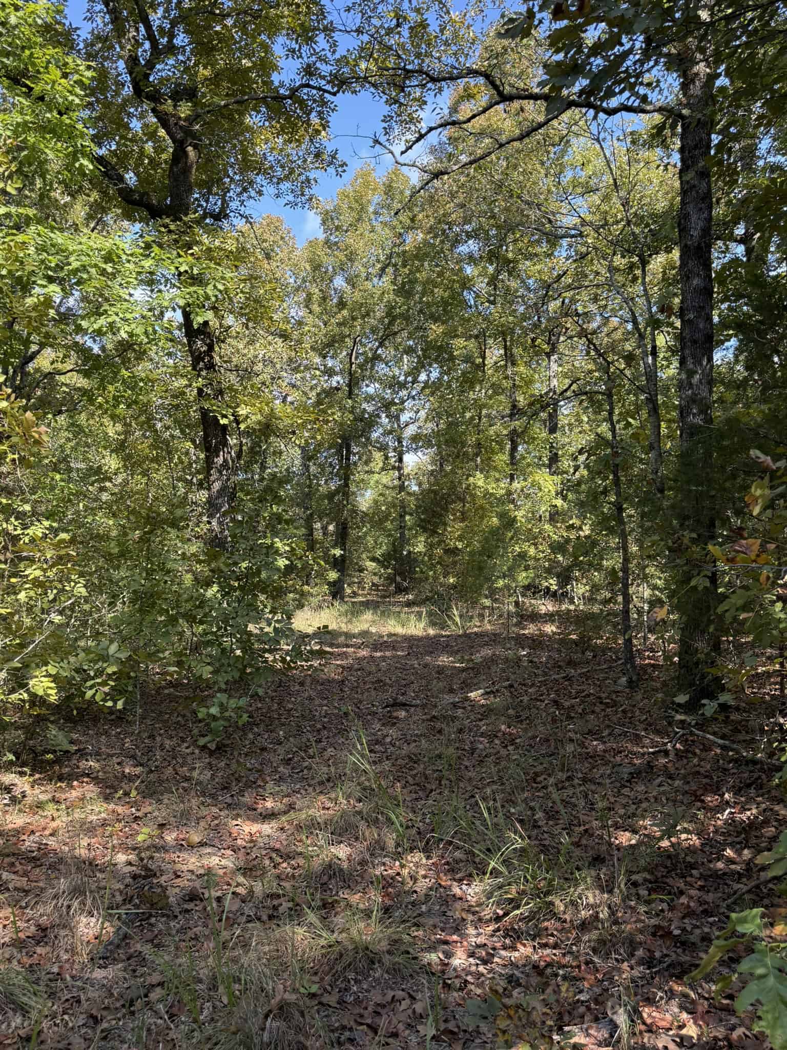 ACREAGE FOR SALE IN NORTH CENTRAL ARKANSAS