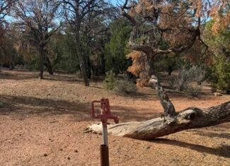 Cabin on 40 Acres for sale in Glade Park, CO