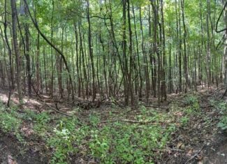 Secluded Recreational Property for Sale in Fort Blackmore VA
